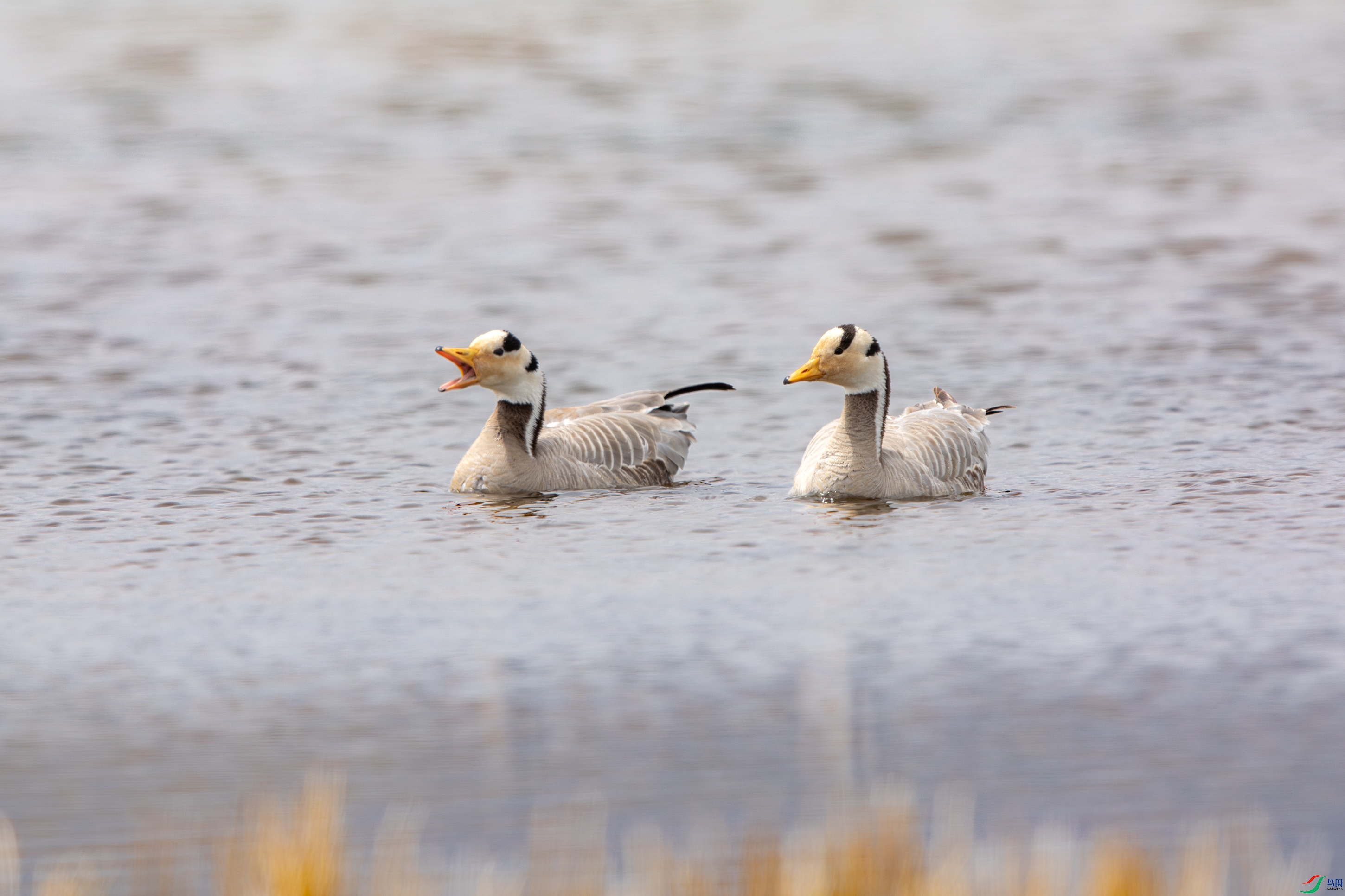 3S5A2801--NR ����.jpg