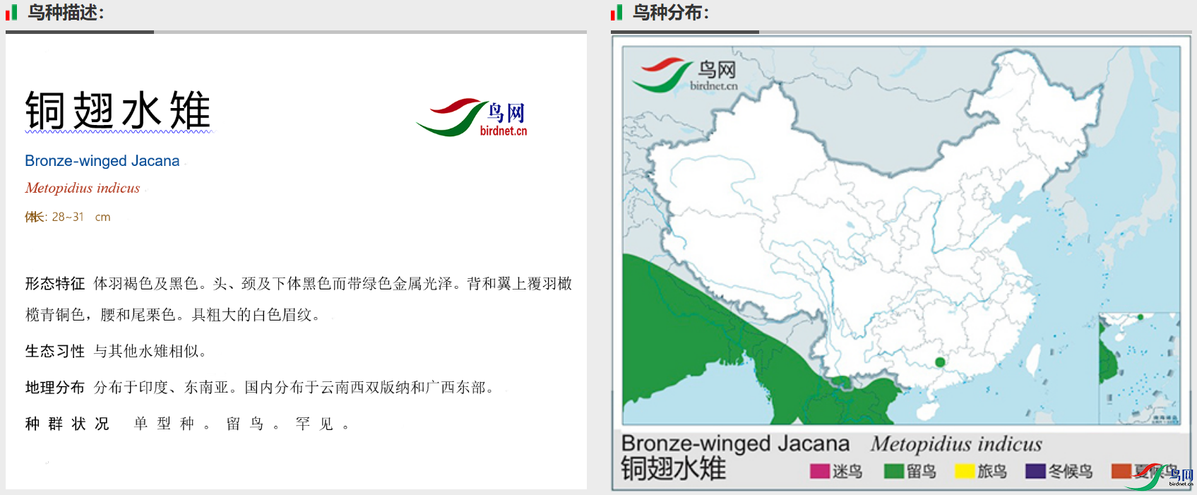 99cf2a6376c818e335df6f577b0f7d5.png