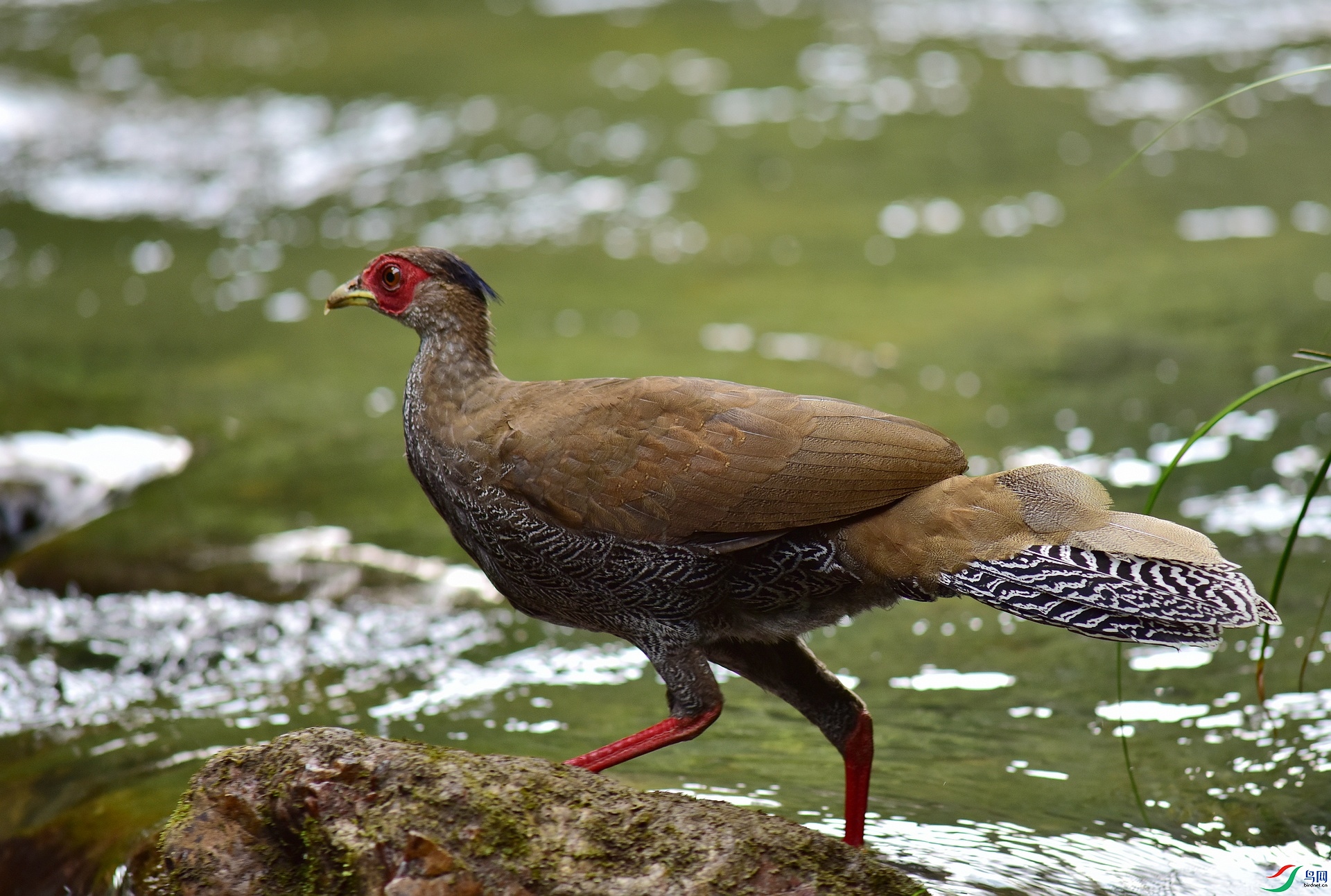 D8I_8086.jpg