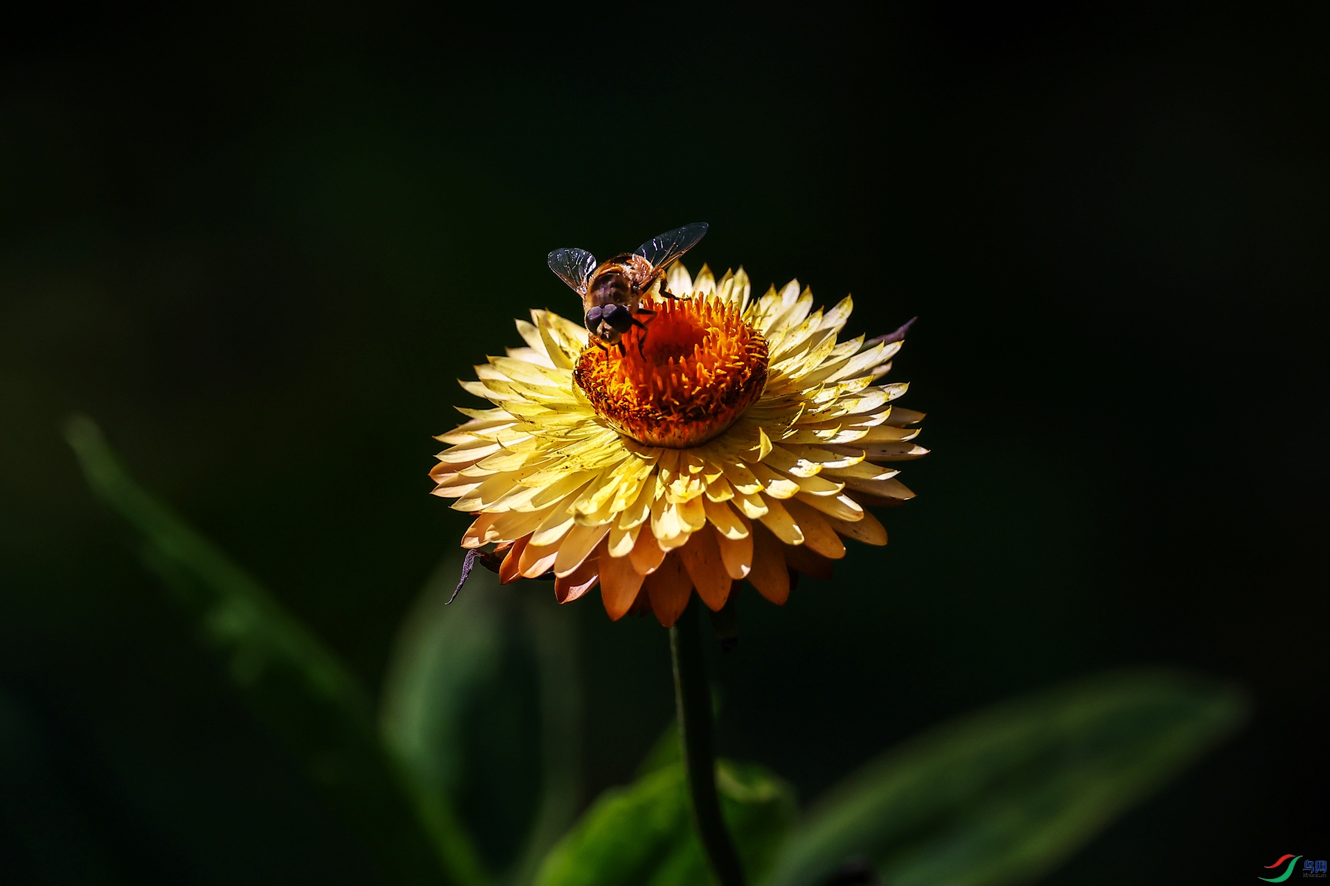 2F5A7992.JPG