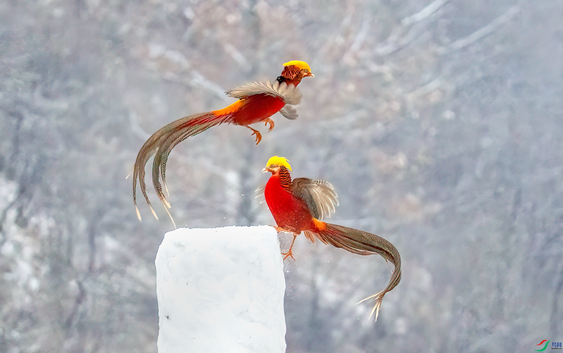 407A7445 ����-Sh----1 .jpg