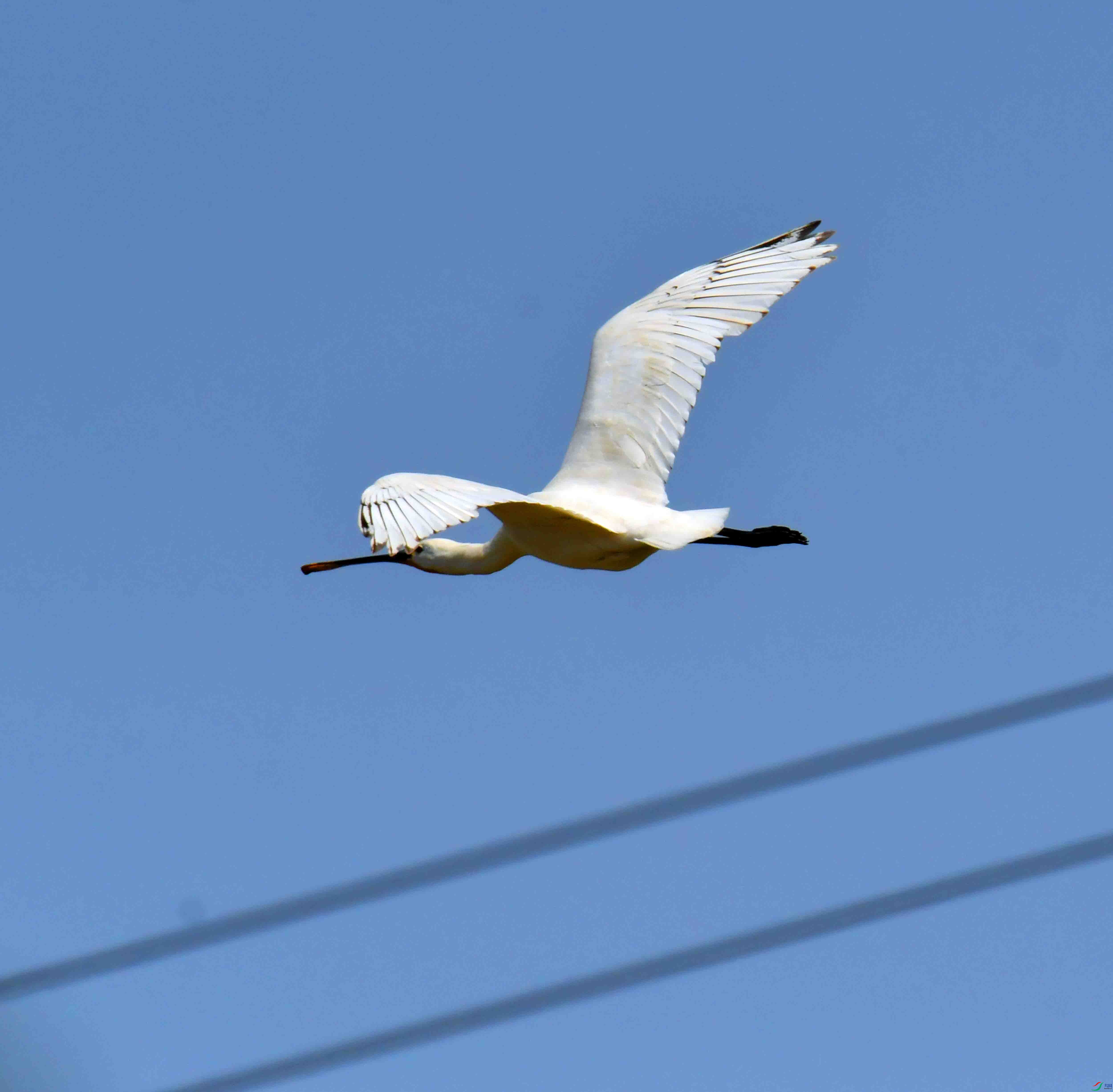 DSC_0191.JPG