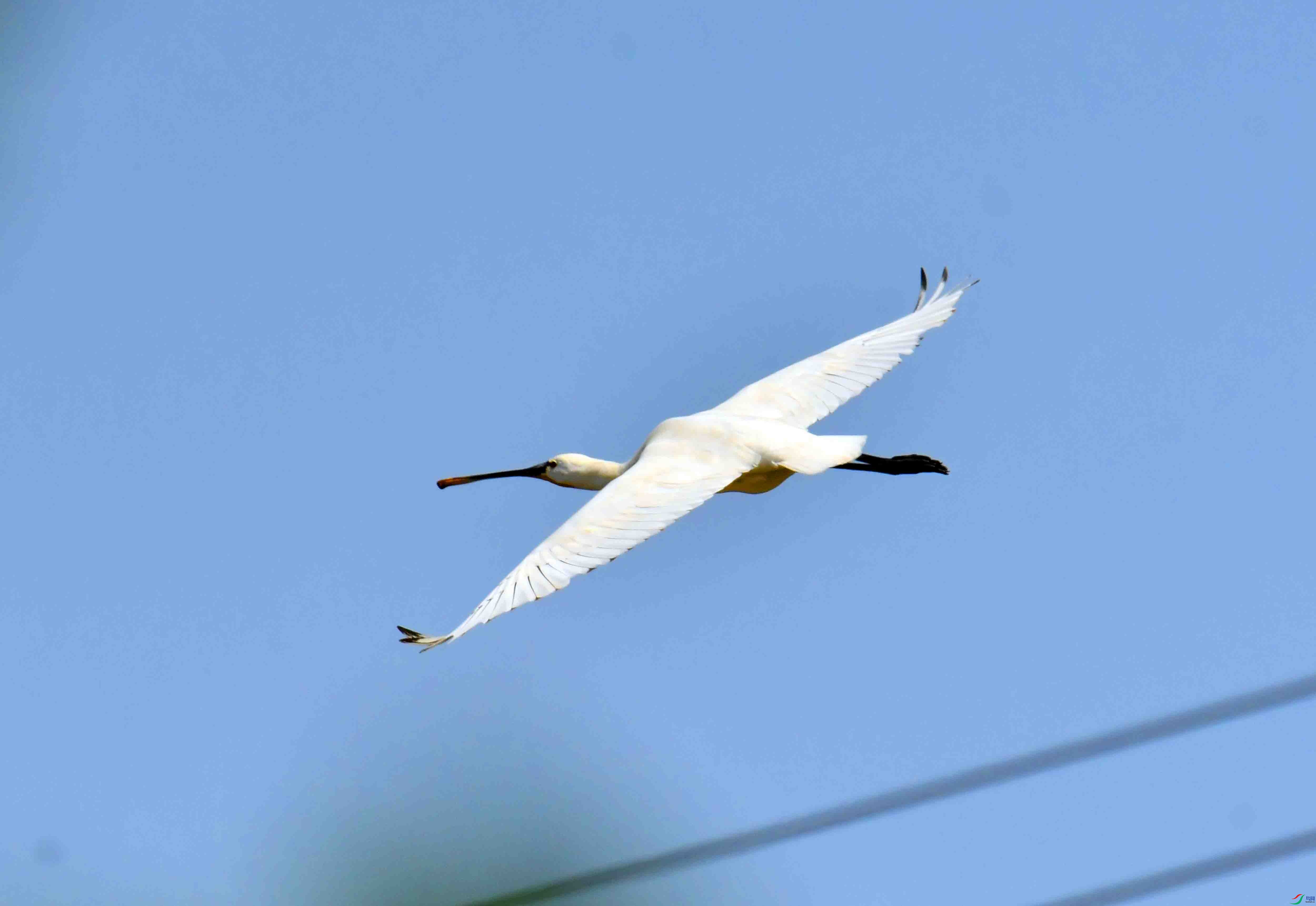 DSC_0192.JPG