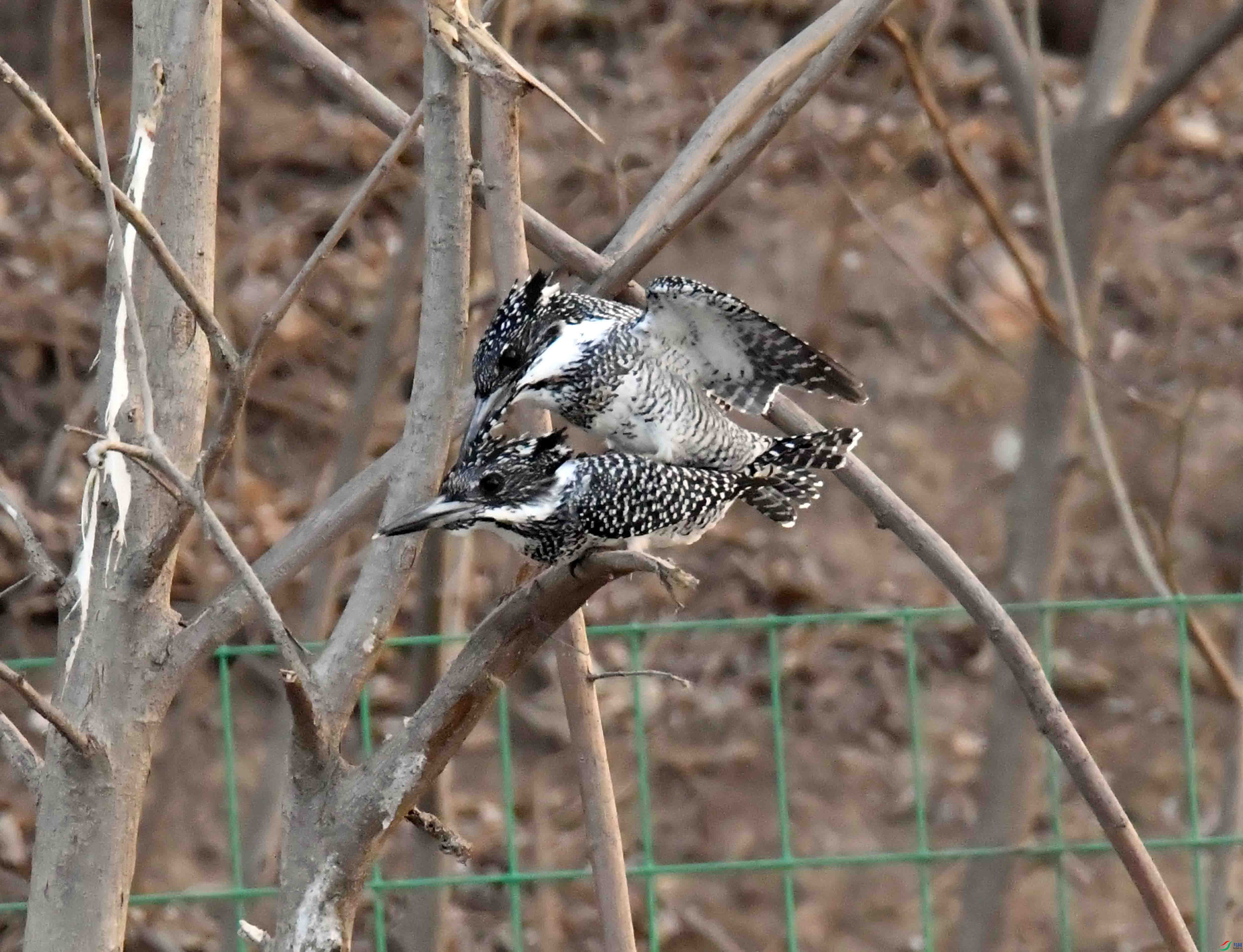 DSC_3880.JPG