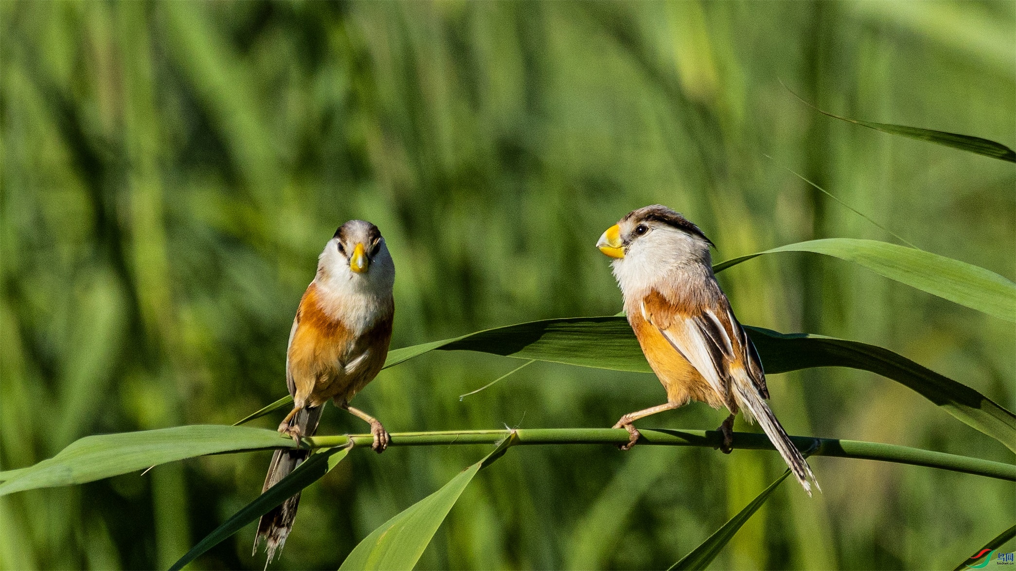 1K3A5861 ����1.jpg