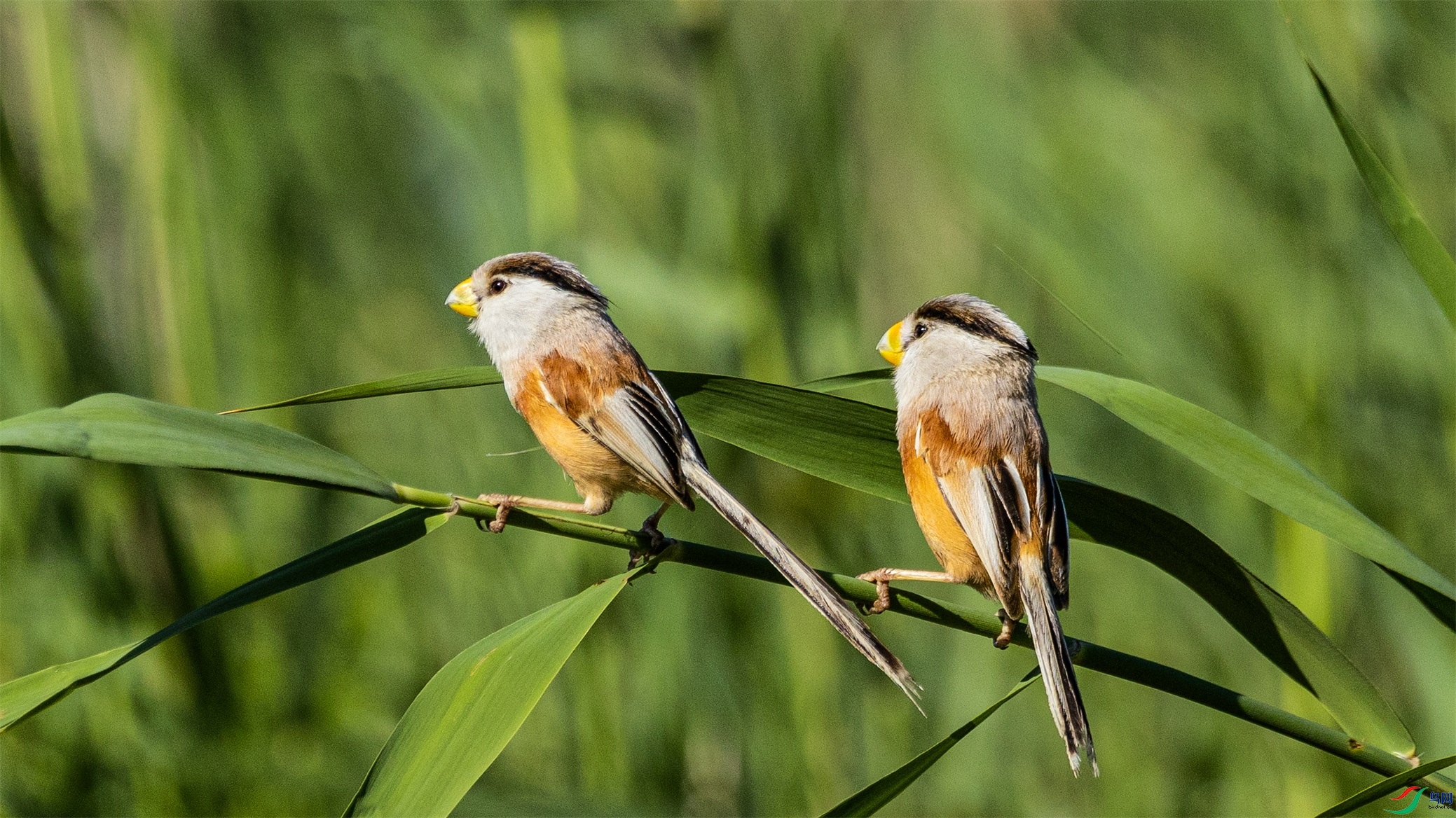 1K3A5870 ����1.jpg