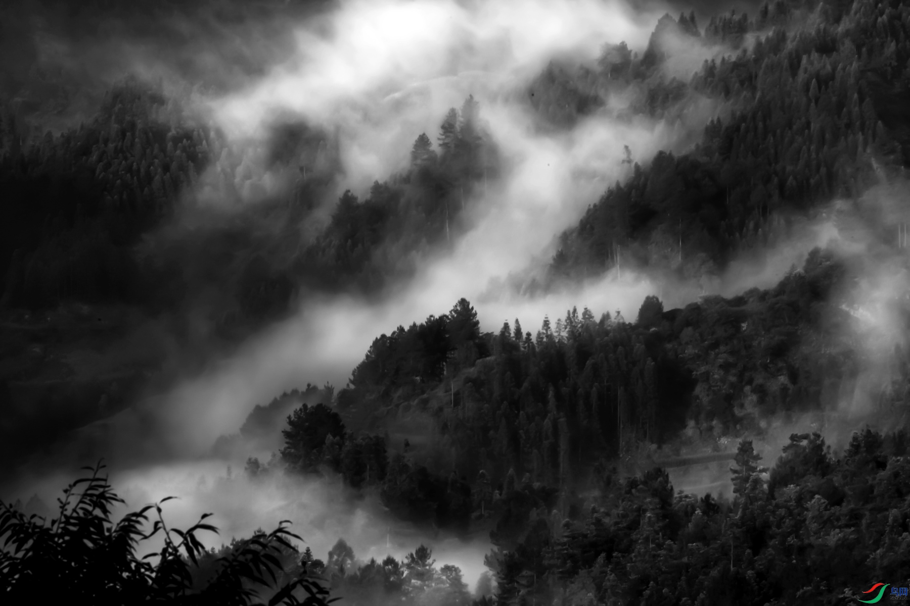 IMG_6385 ����_����.jpg