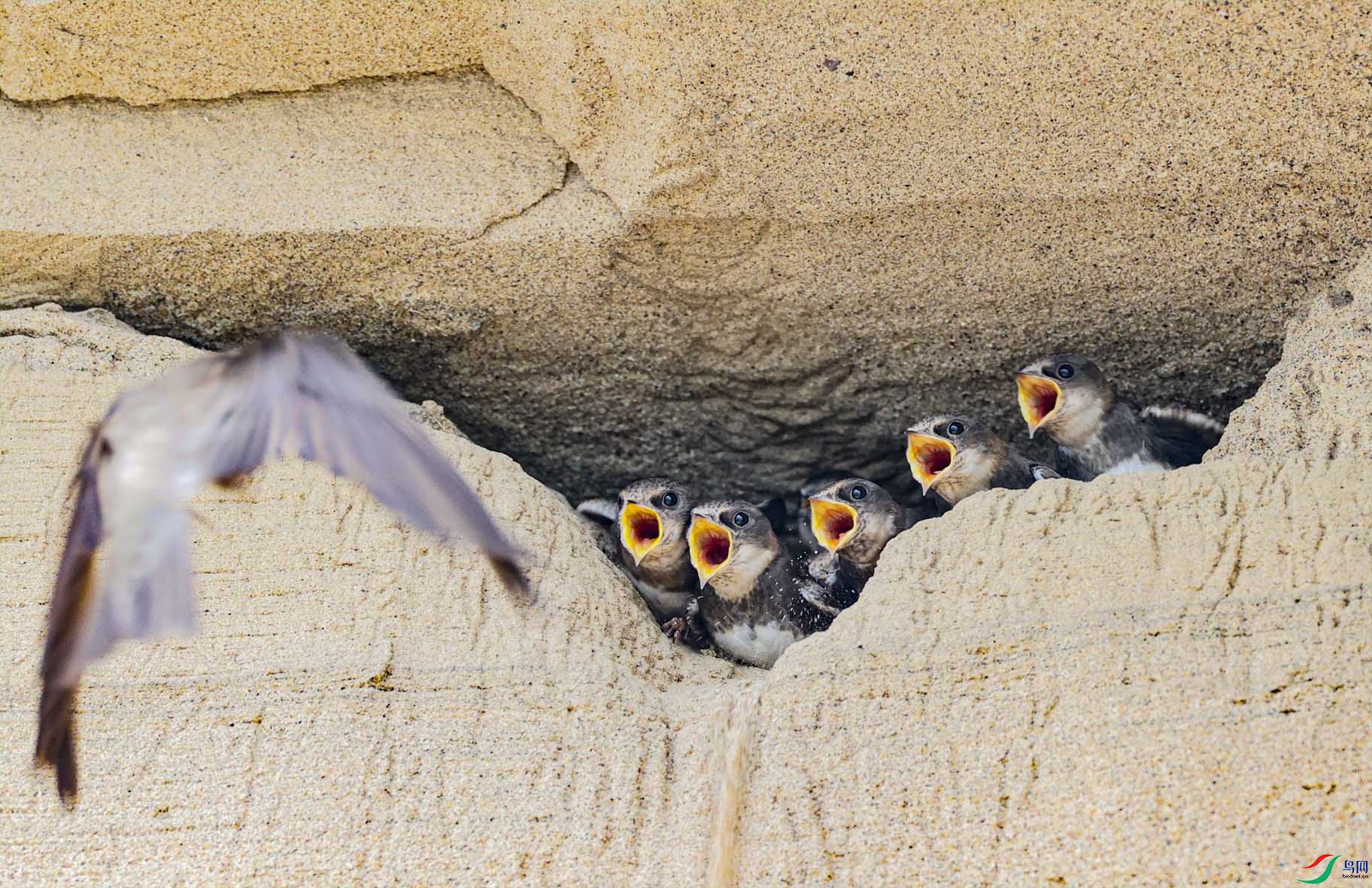 ��������� ����.jpg