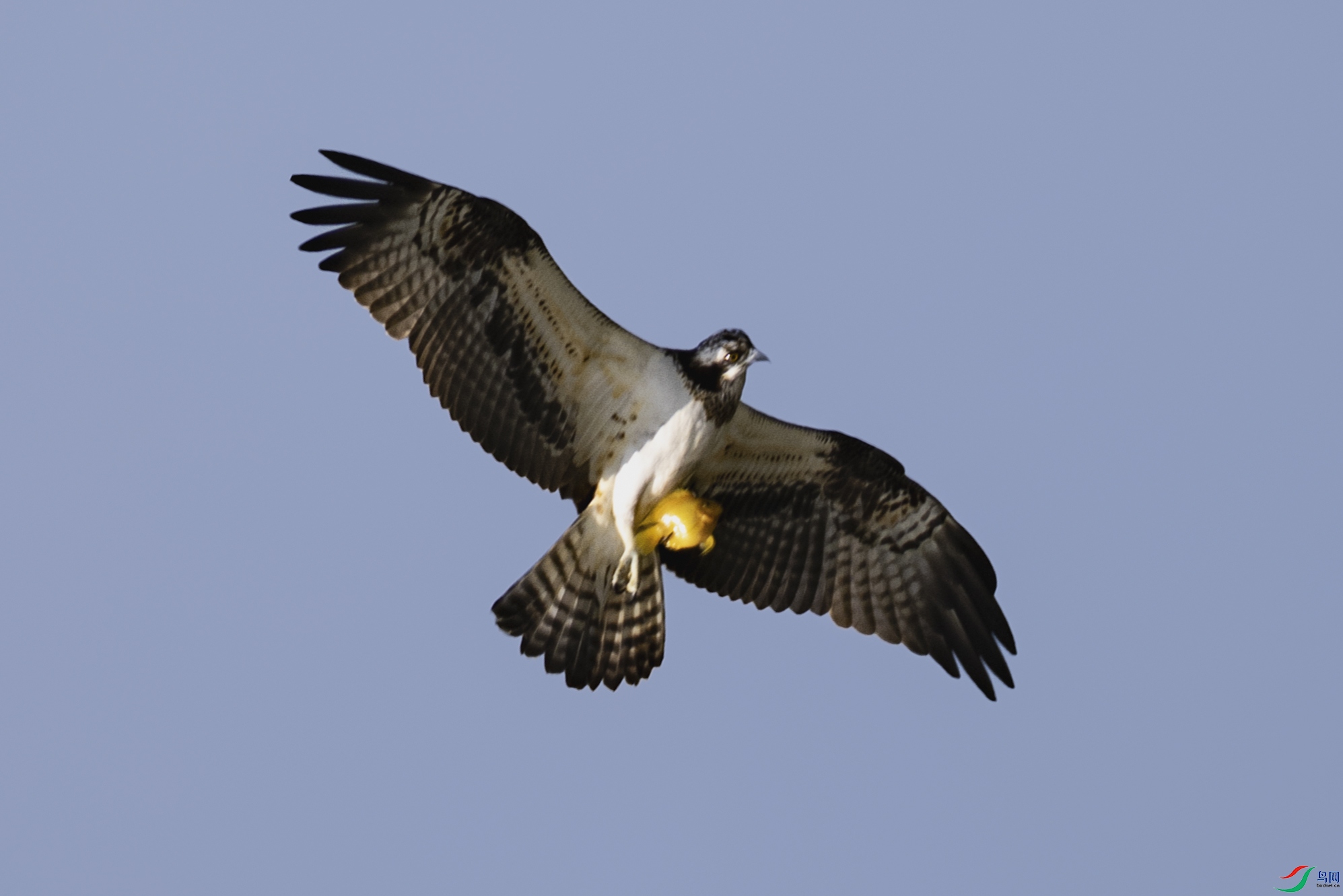 4Z6A7358.jpg
