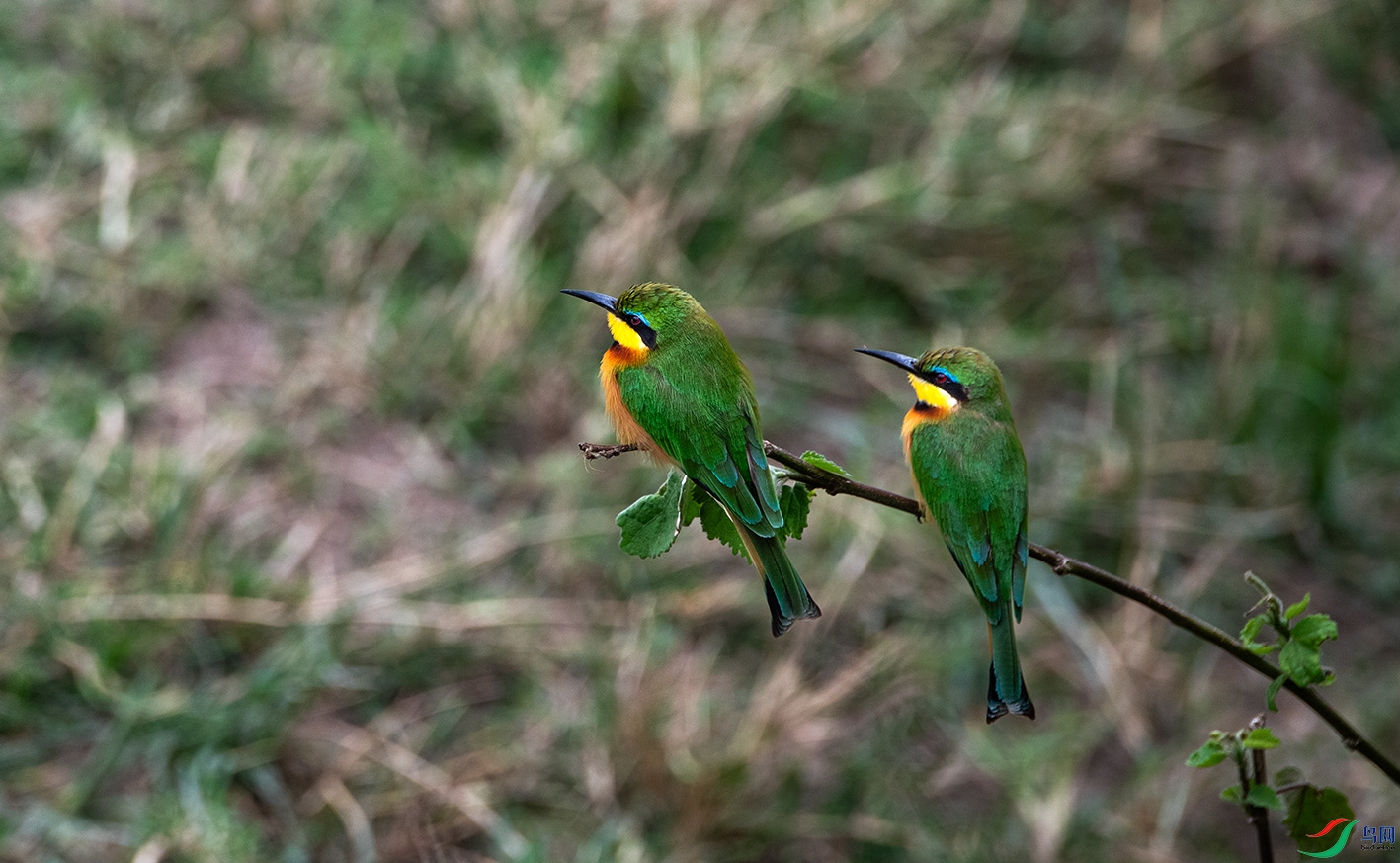 _DSC8589.jpg