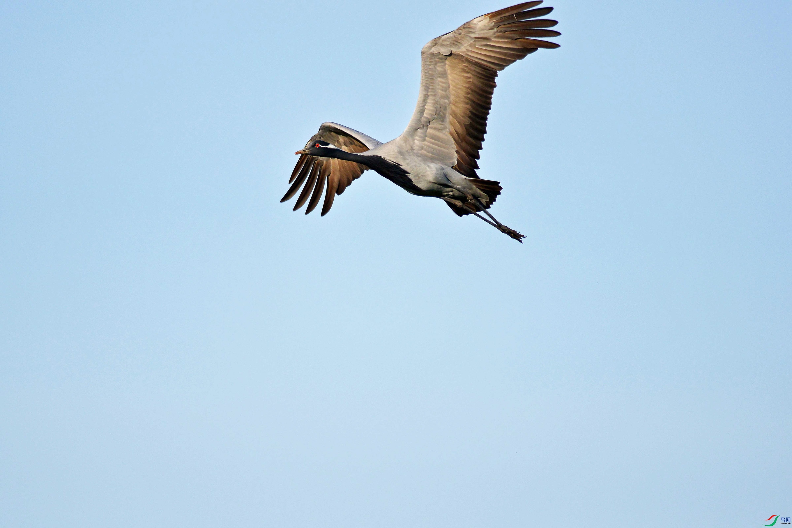 DSC_1740.jpg