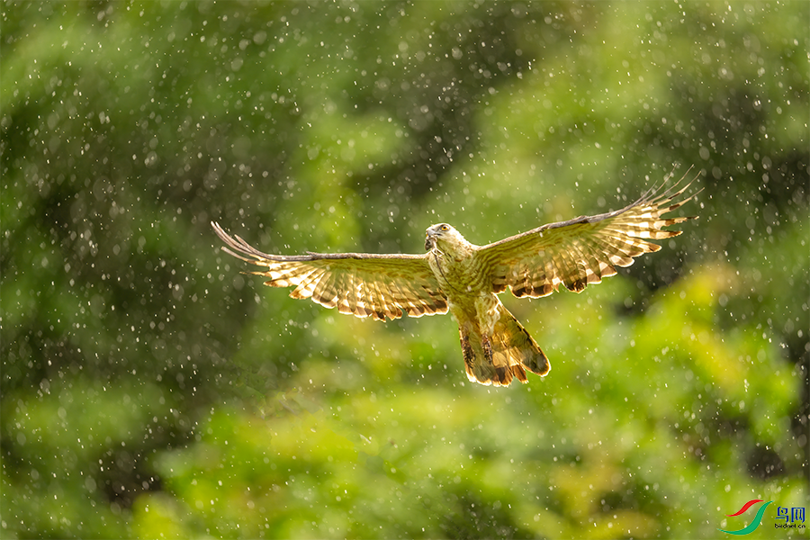 DSC09231.png    0001.png