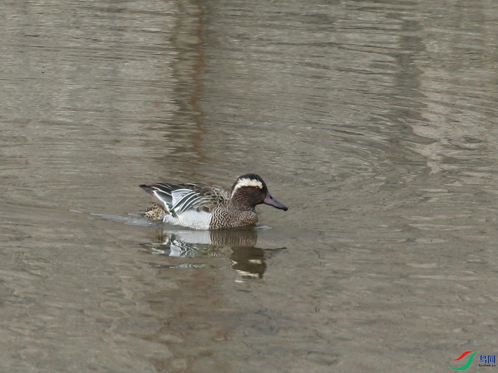 DSC20240306165.jpg