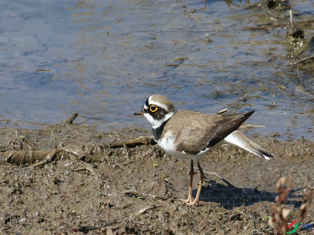 DSC20240326179.jpg