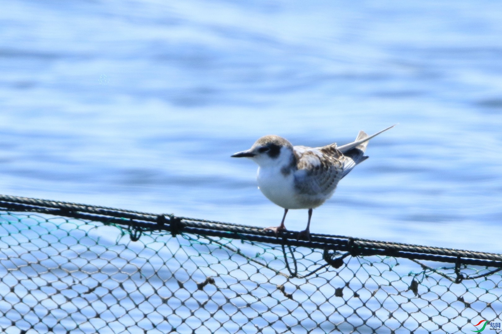 ����ʲôŸ  0F4A5486.jpg