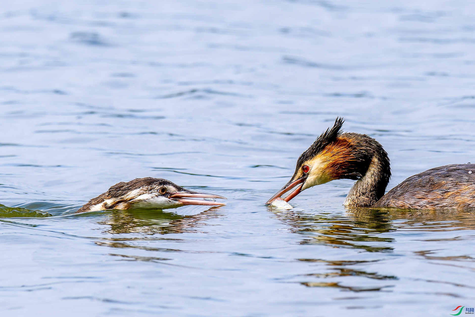 072_���� �������� ���ϴ�-1.jpg