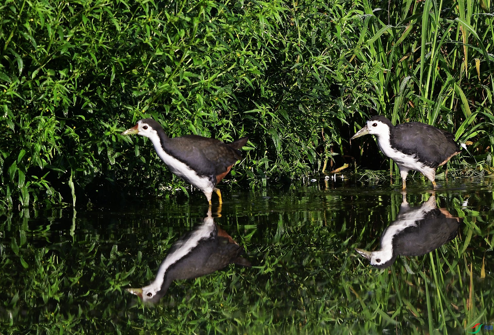 _D5D0507.jpg