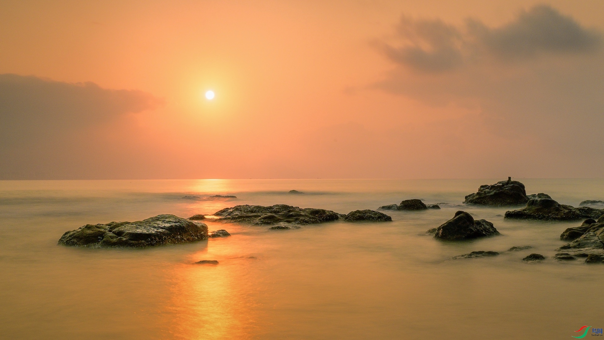 1_XXL5451 ����.jpeg