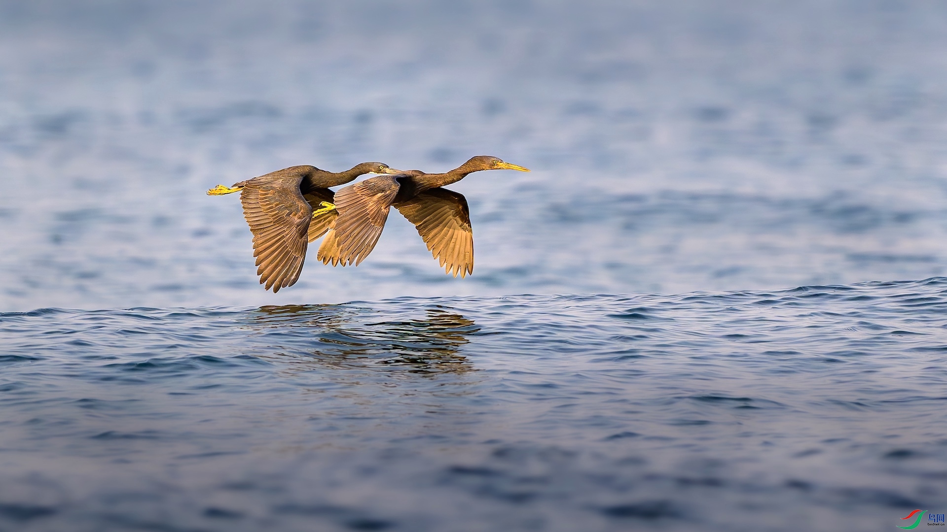 1_XXL6649-����ǿ-NR ����.jpeg