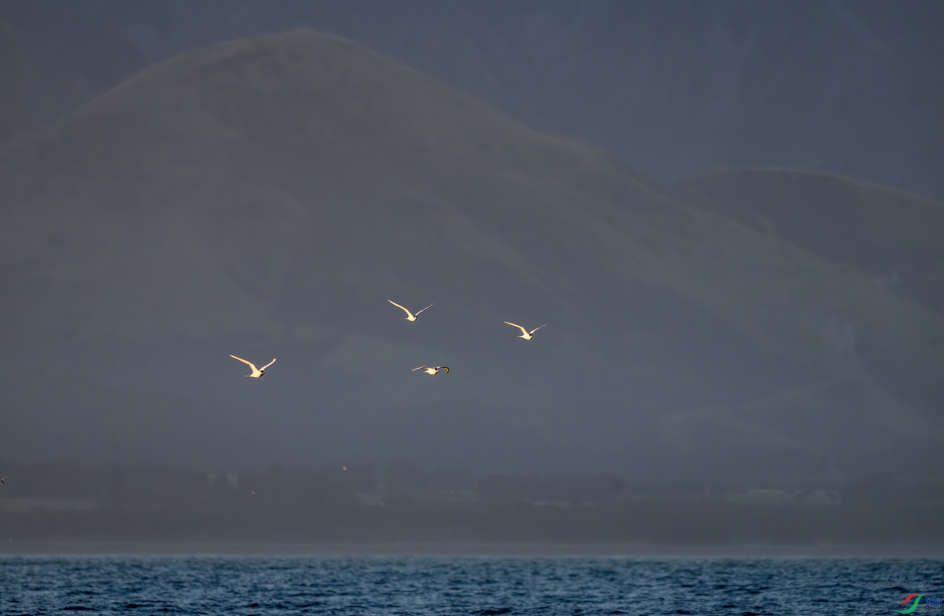 DSC_6577-1.jpg