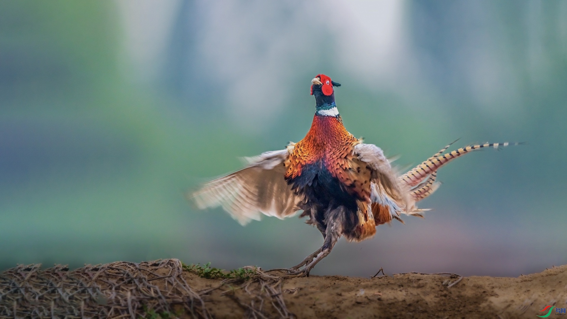 1XXI_1827 ���� 2.jpeg