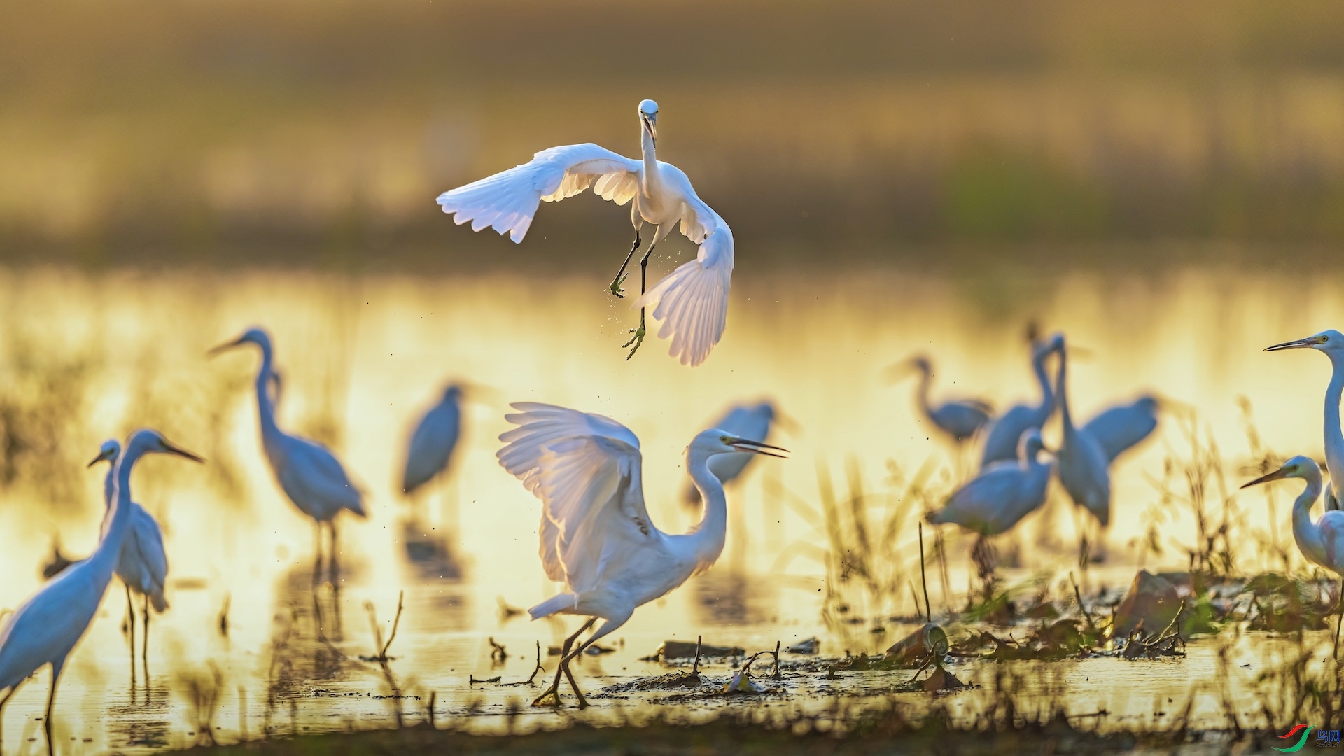 1XXL_3461-1 ����.jpeg