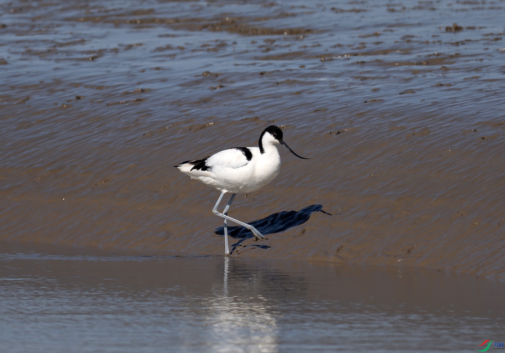 _DSC8146f.jpg