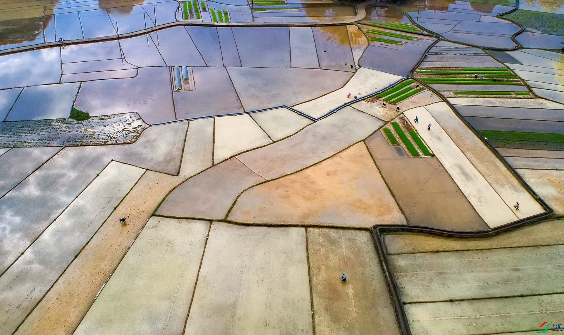 DJI_0368a ����.jpg