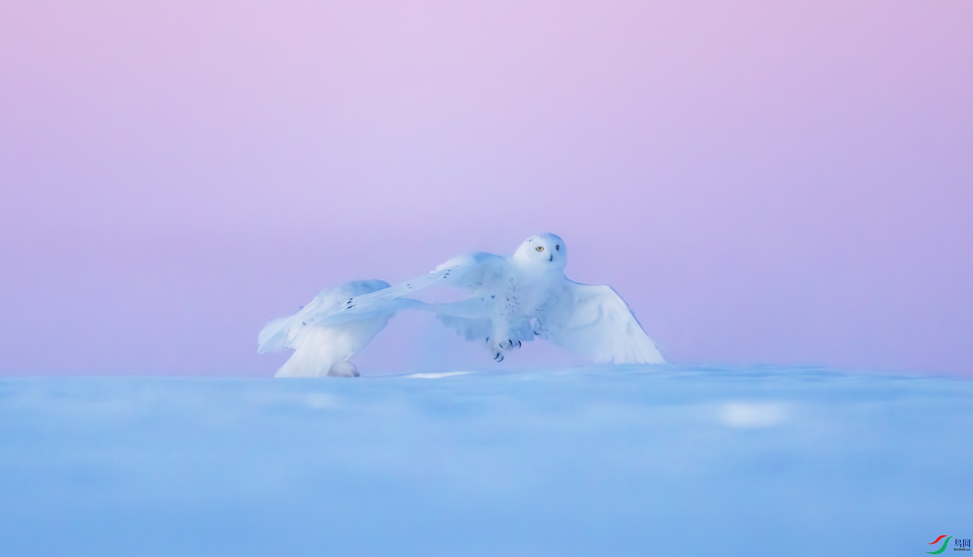 6R9A7929.jpg