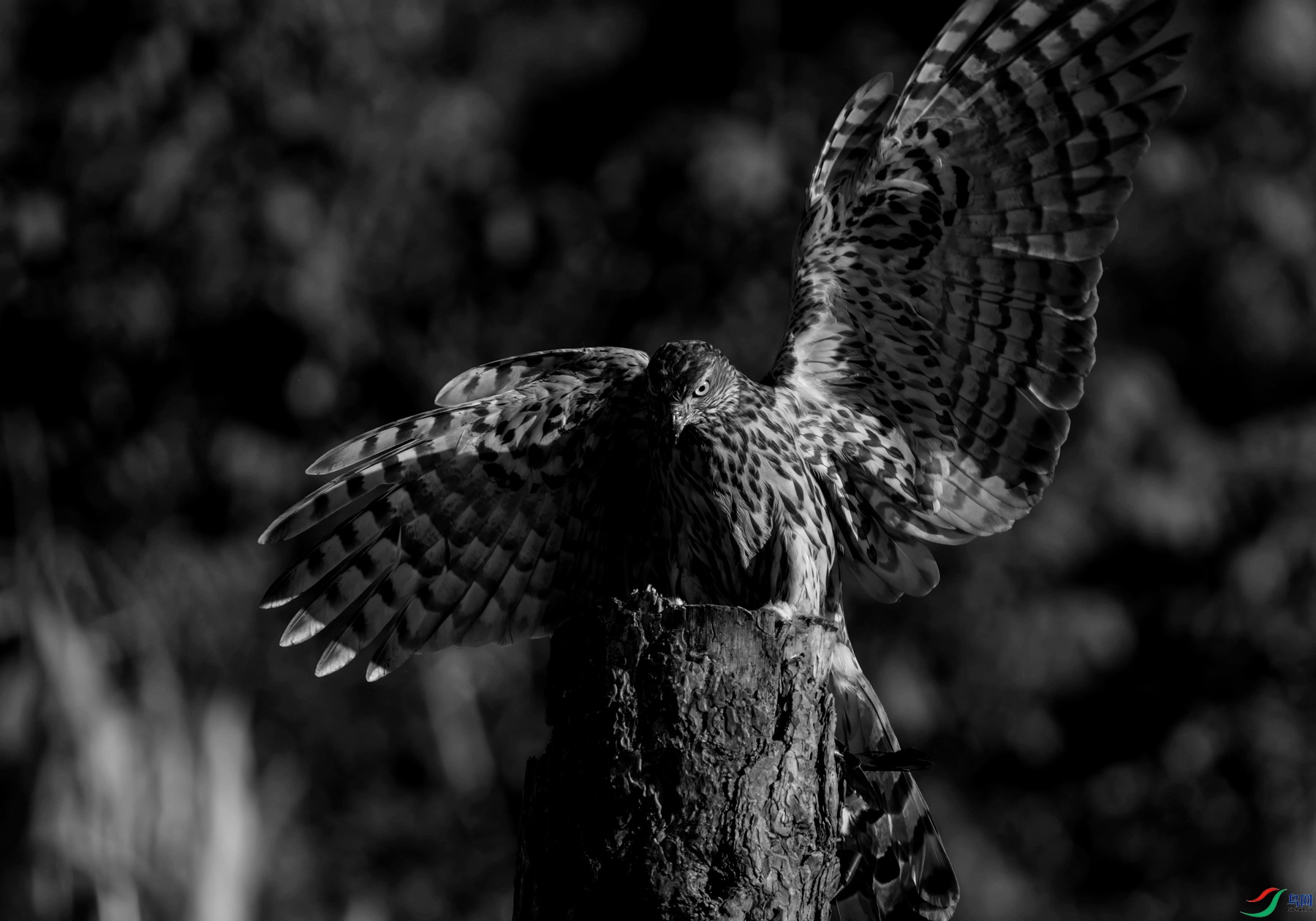 DSC07490 ����_��ͼ��_����.jpg