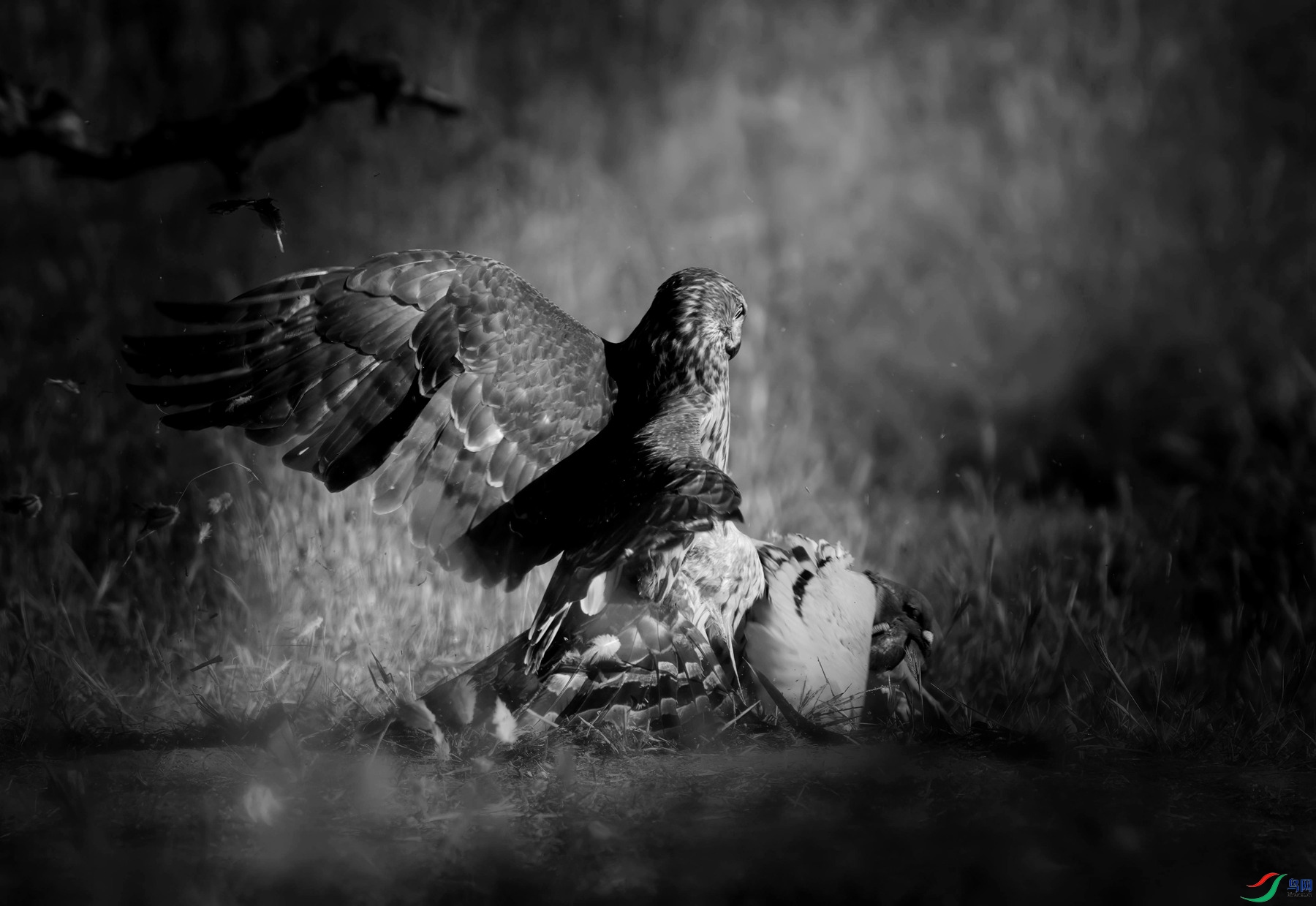 DSC07388 ����_��ͼ��_����.jpg