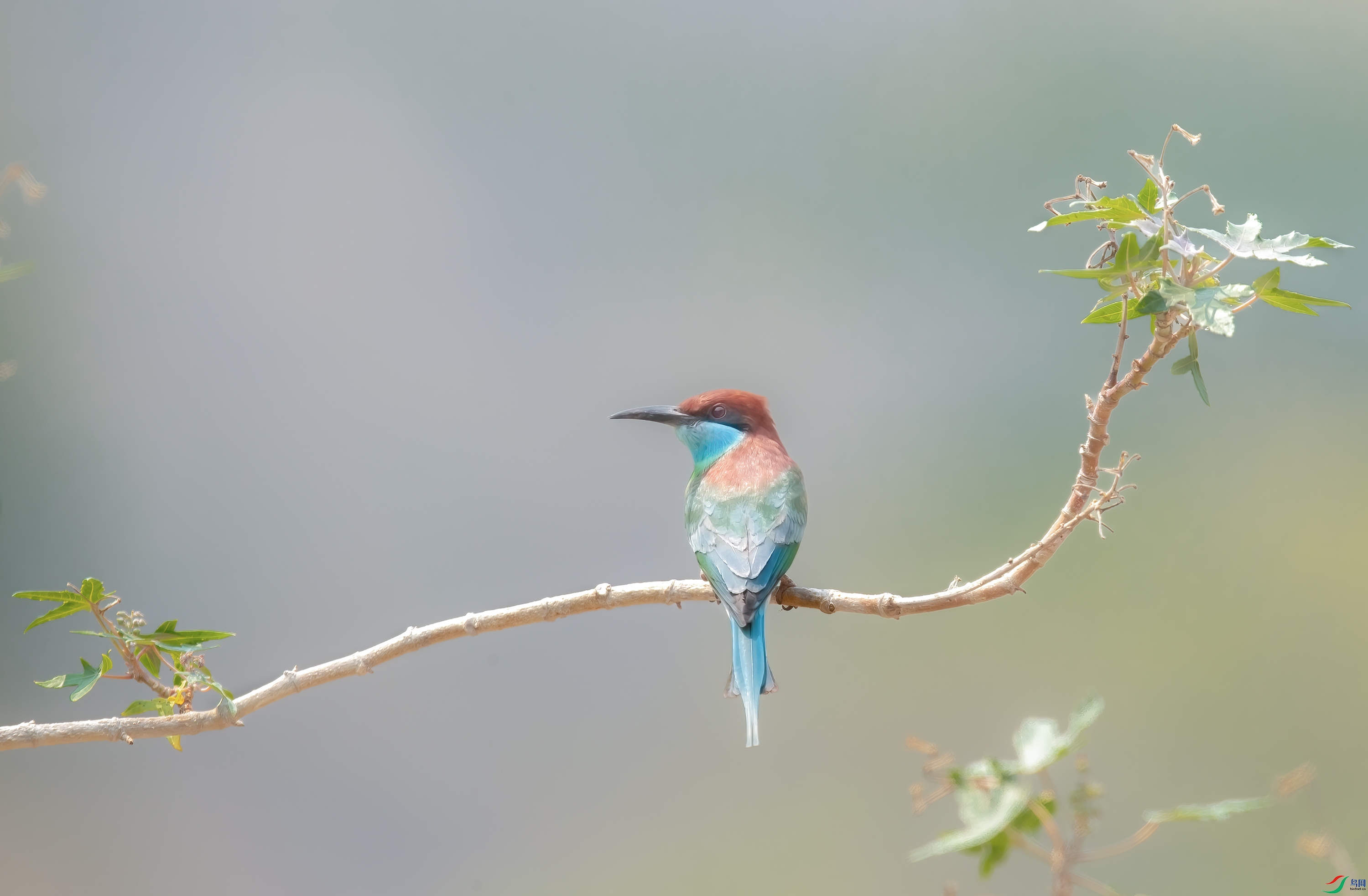 AY8I8528 ����.jpg