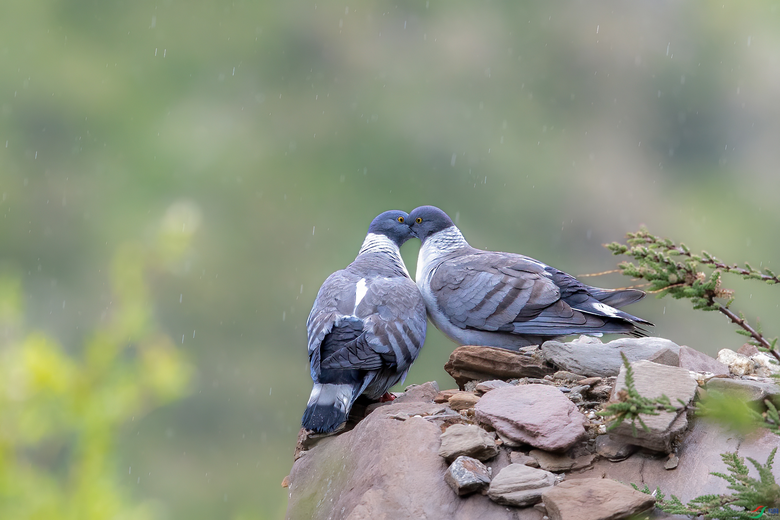 AY8I2410 ����.jpg