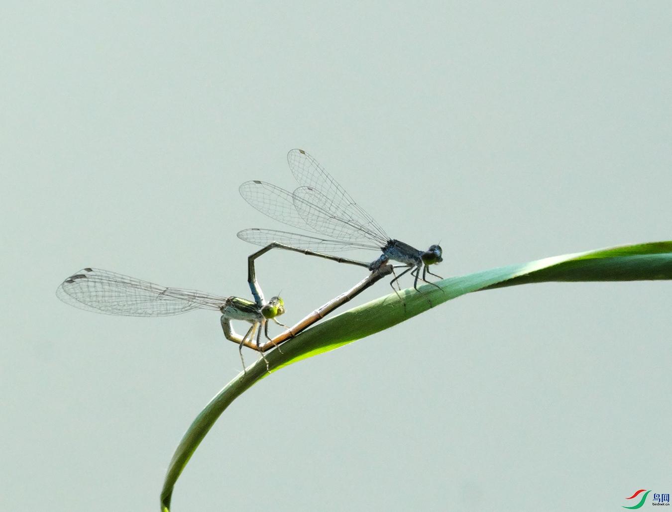 DSCF7372.jpg