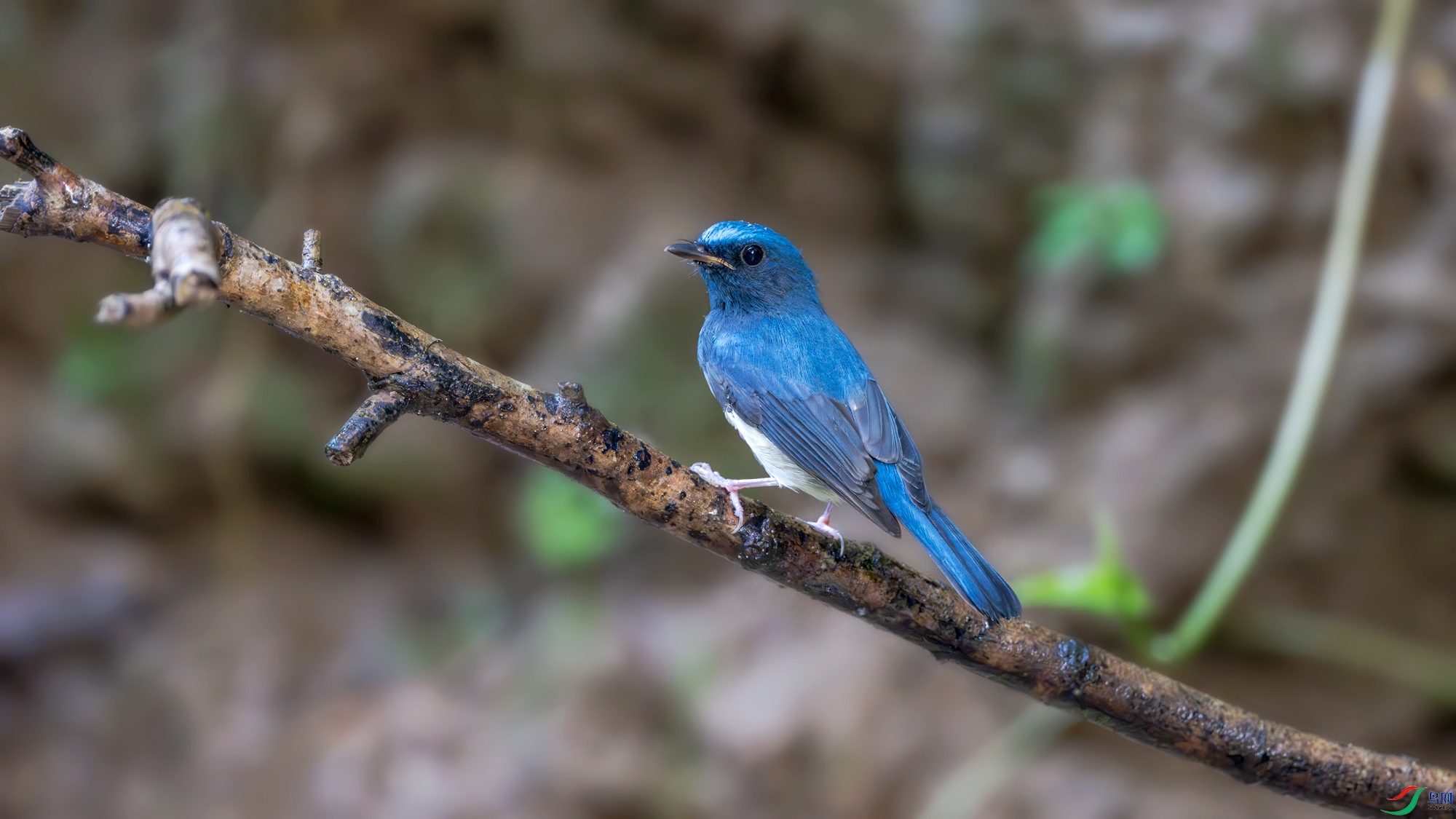 Z10_9771.jpg