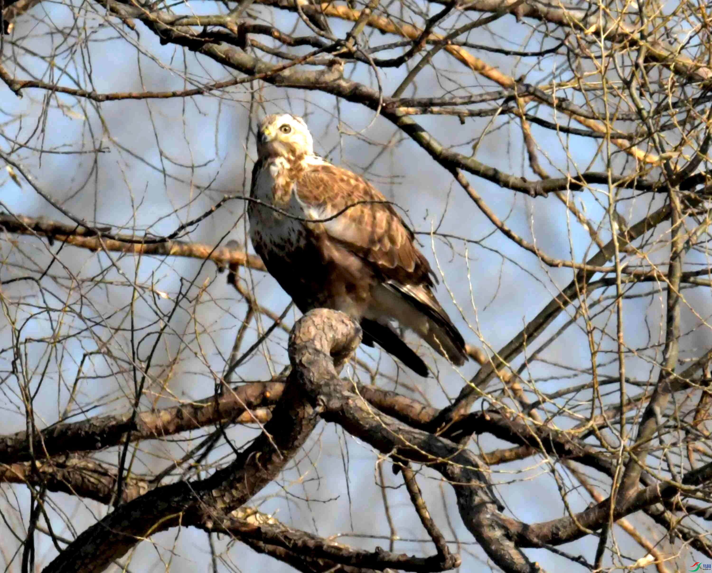 DSC_3011.JPG