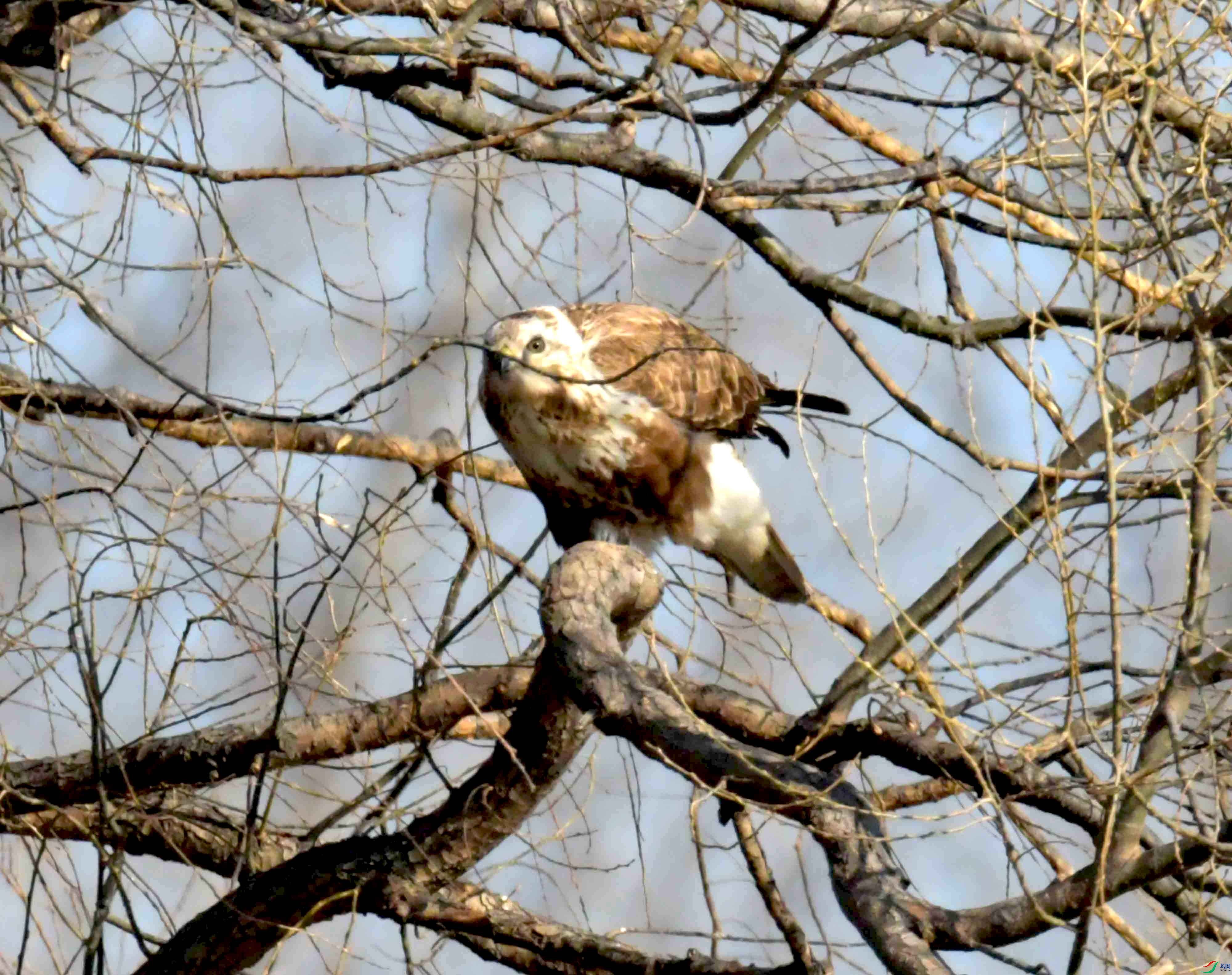 DSC_3027.JPG