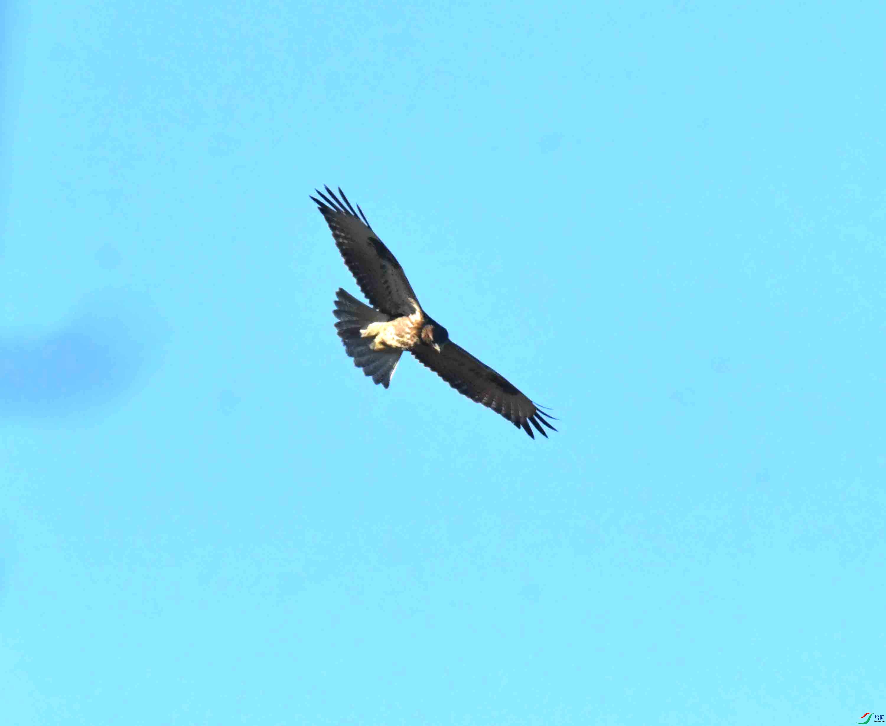 DSC_3032.JPG