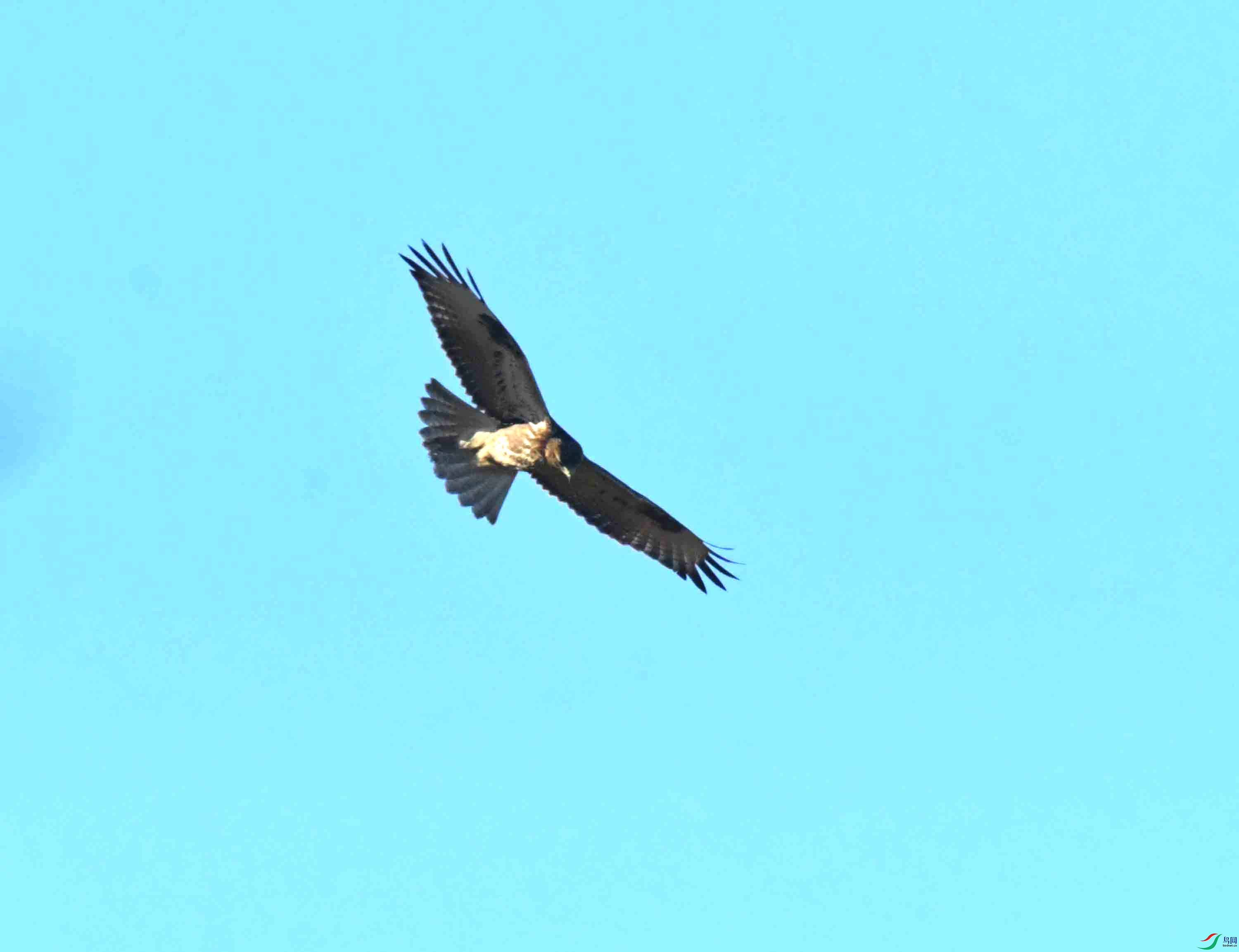 DSC_3033.JPG