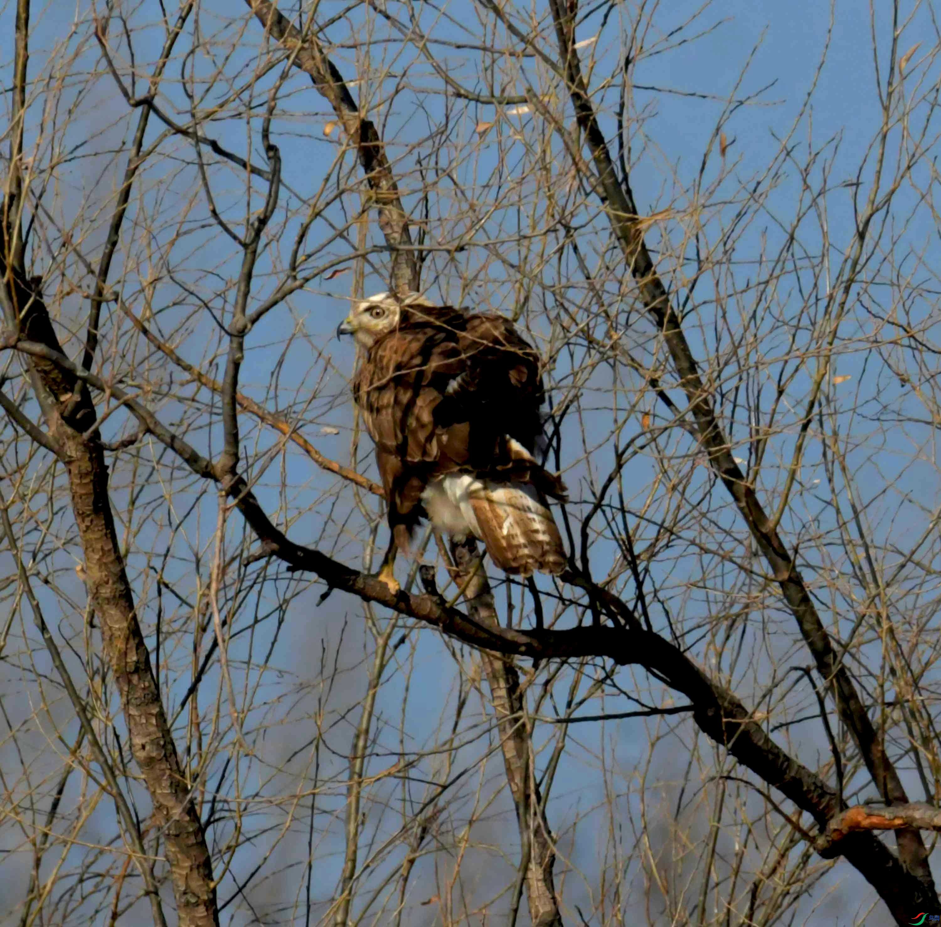 DSC_3098.JPG