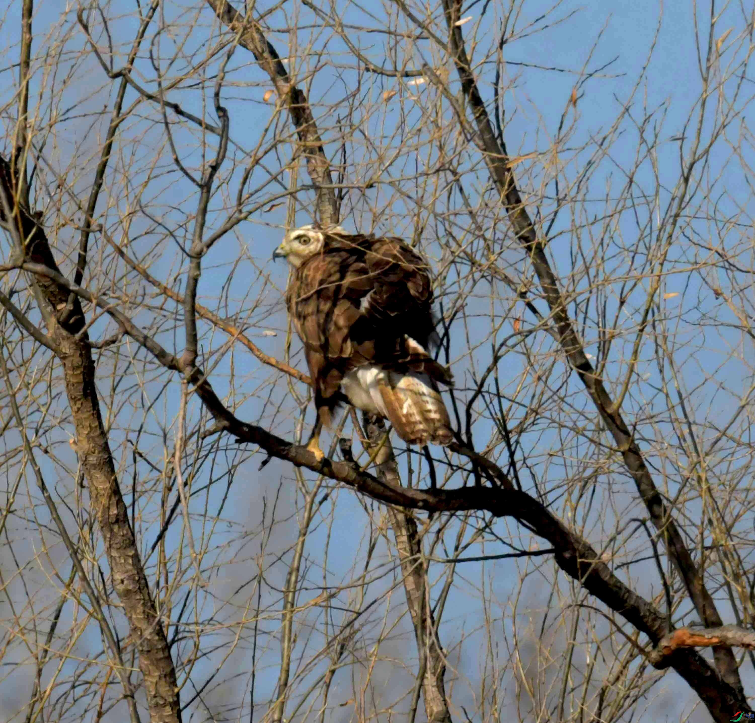 DSC_3099.JPG