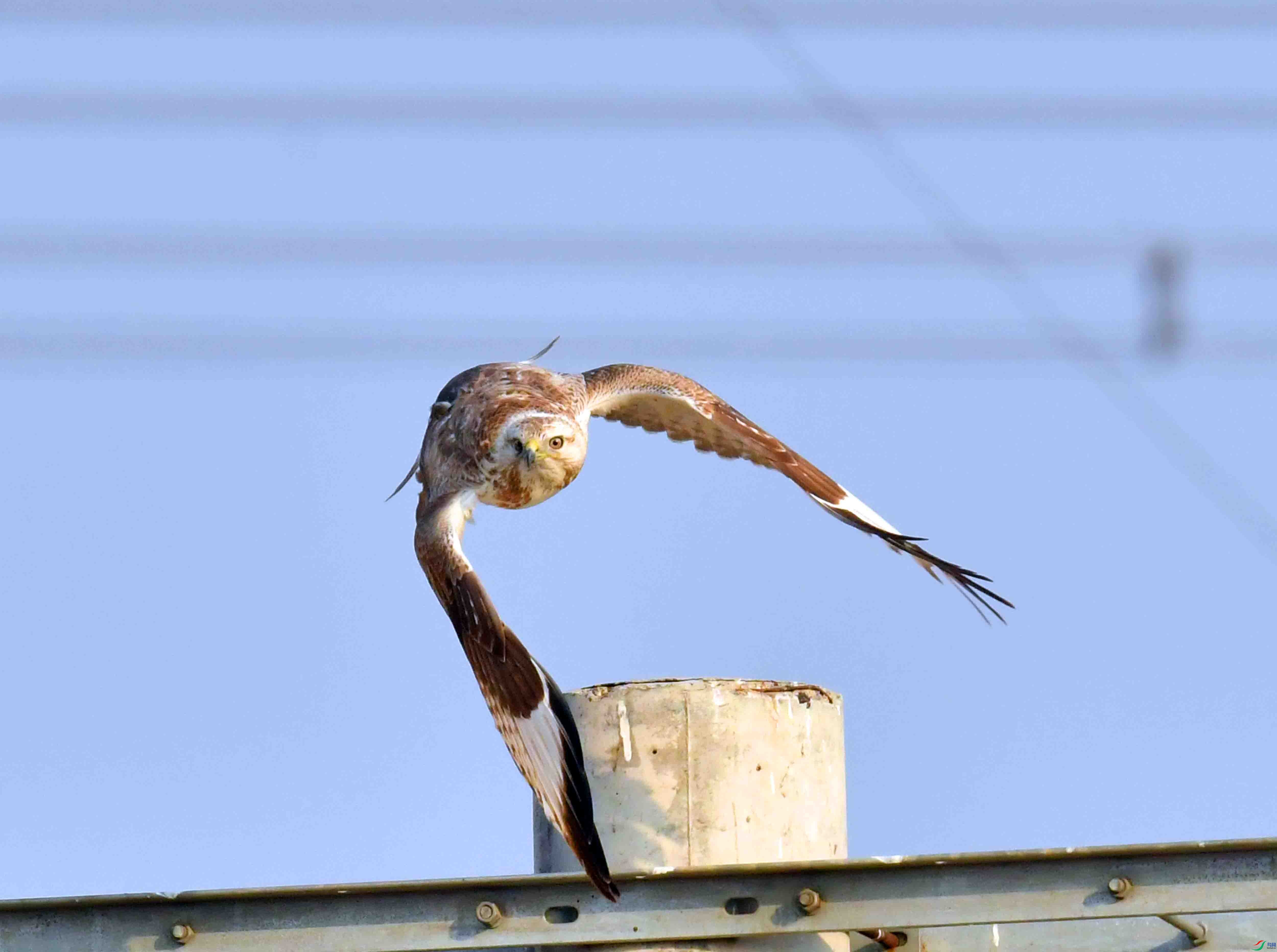 DSC_6175.JPG