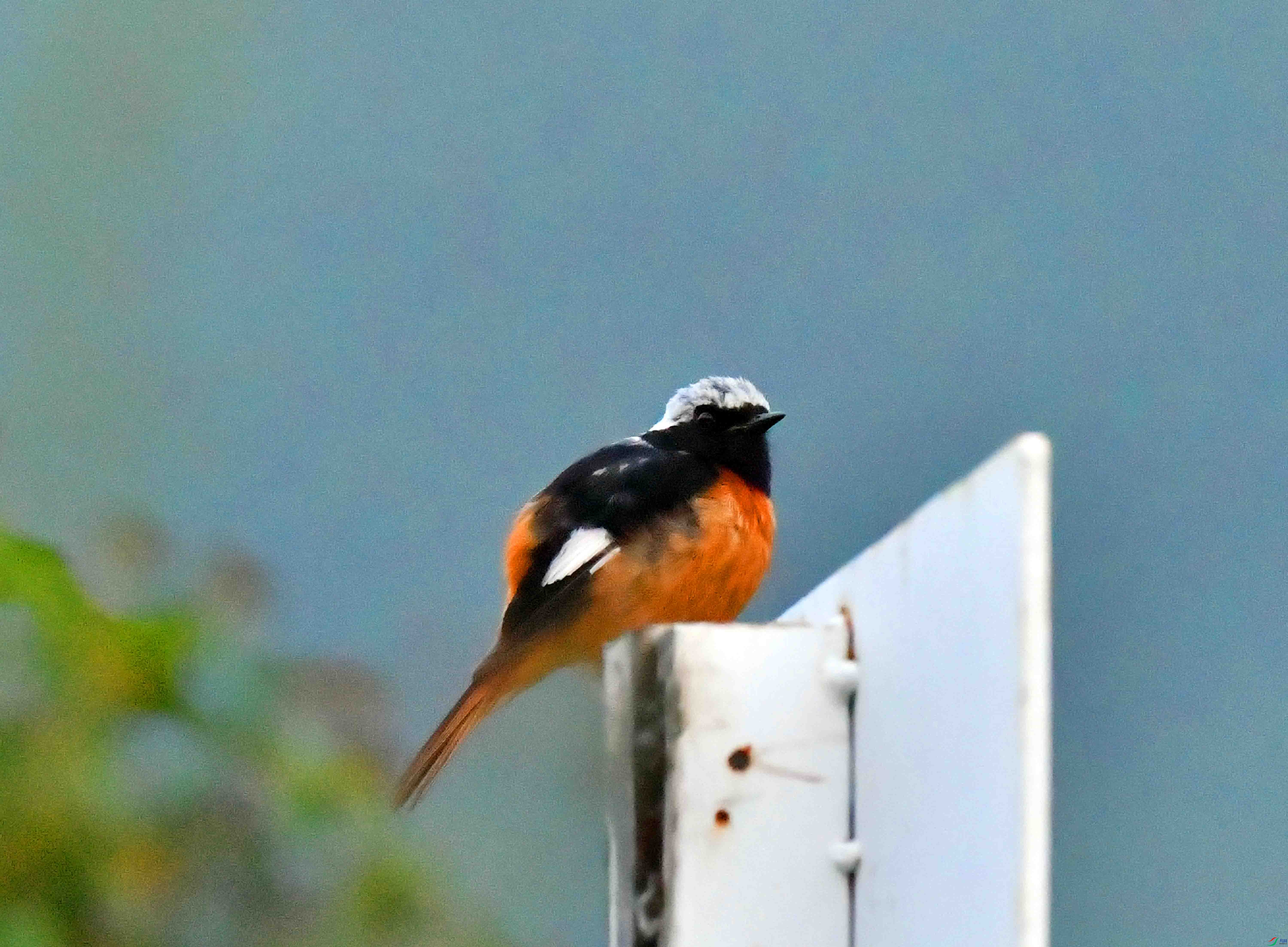 DSC_3490.JPG