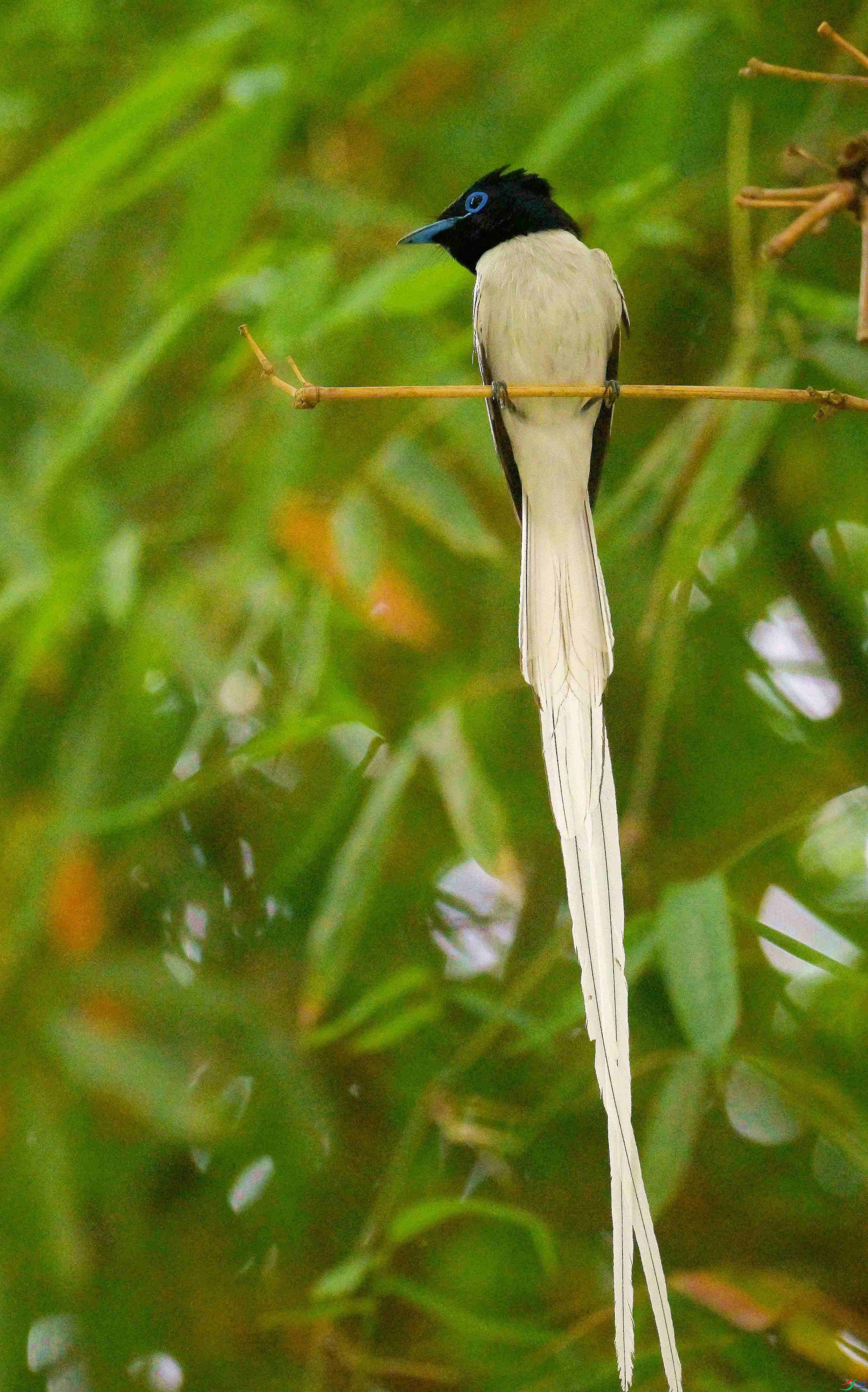 DSC_4040.jpg
