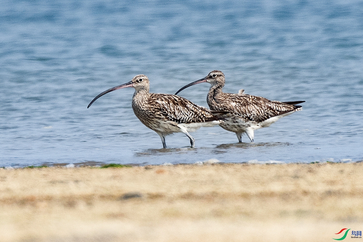 _DSC7132-.jpg