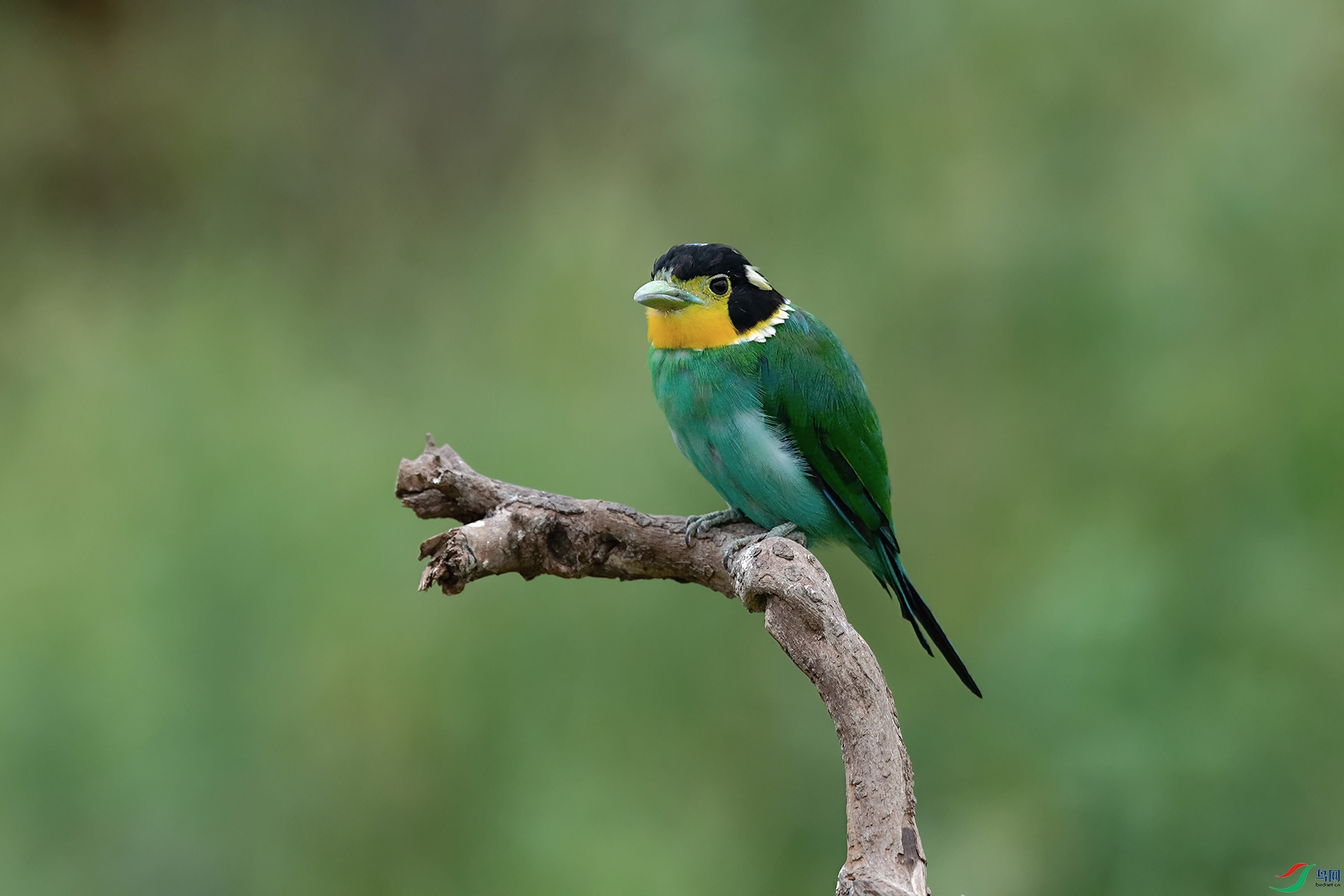 DSC_7873_DxOa.jpg