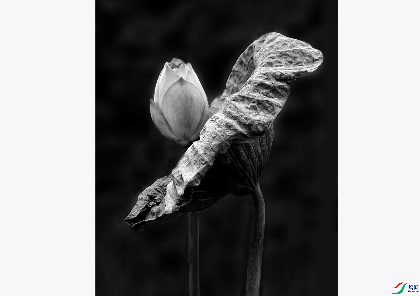 01-�� ��.jpg