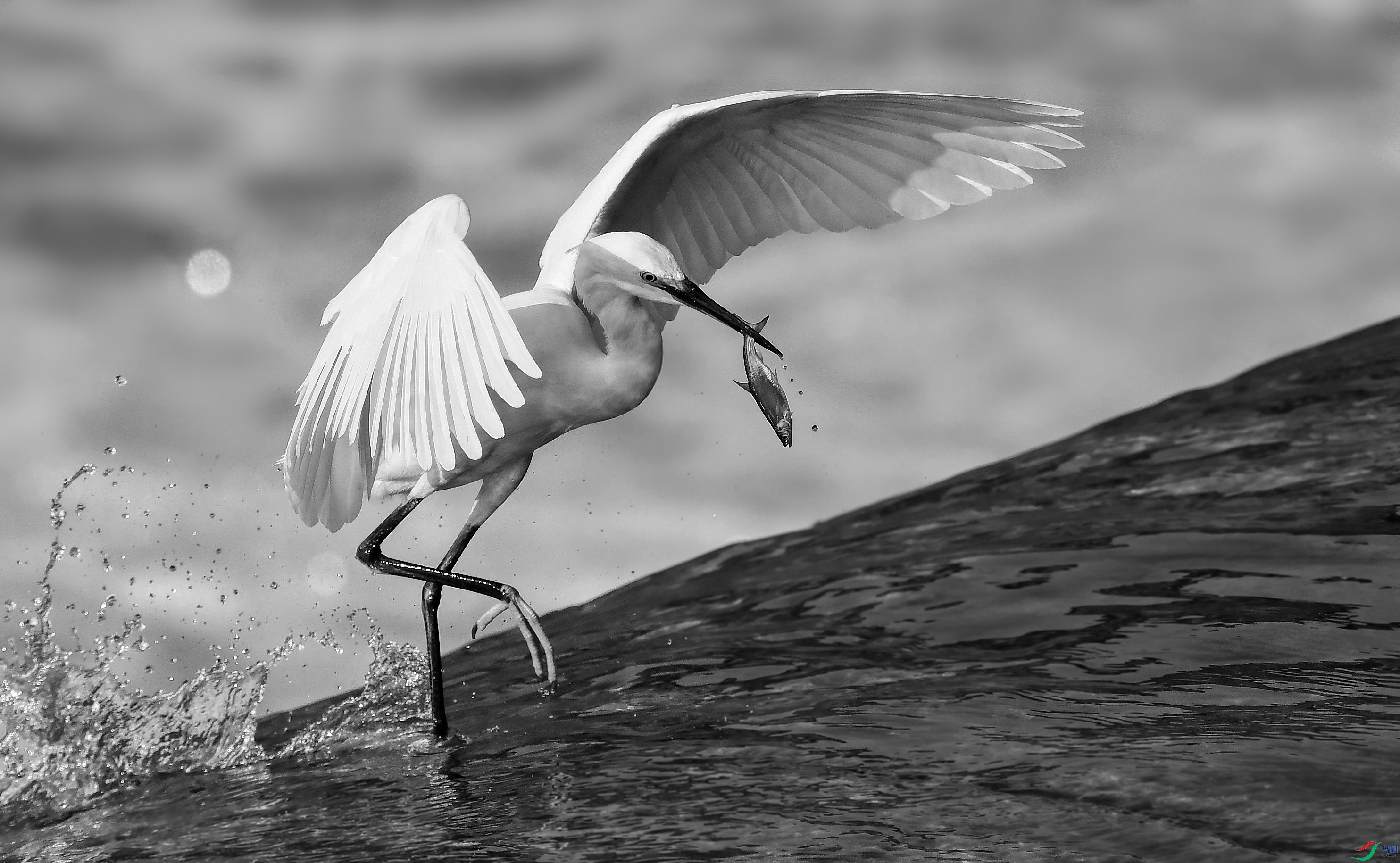 DSC_0906_conew10.jpg