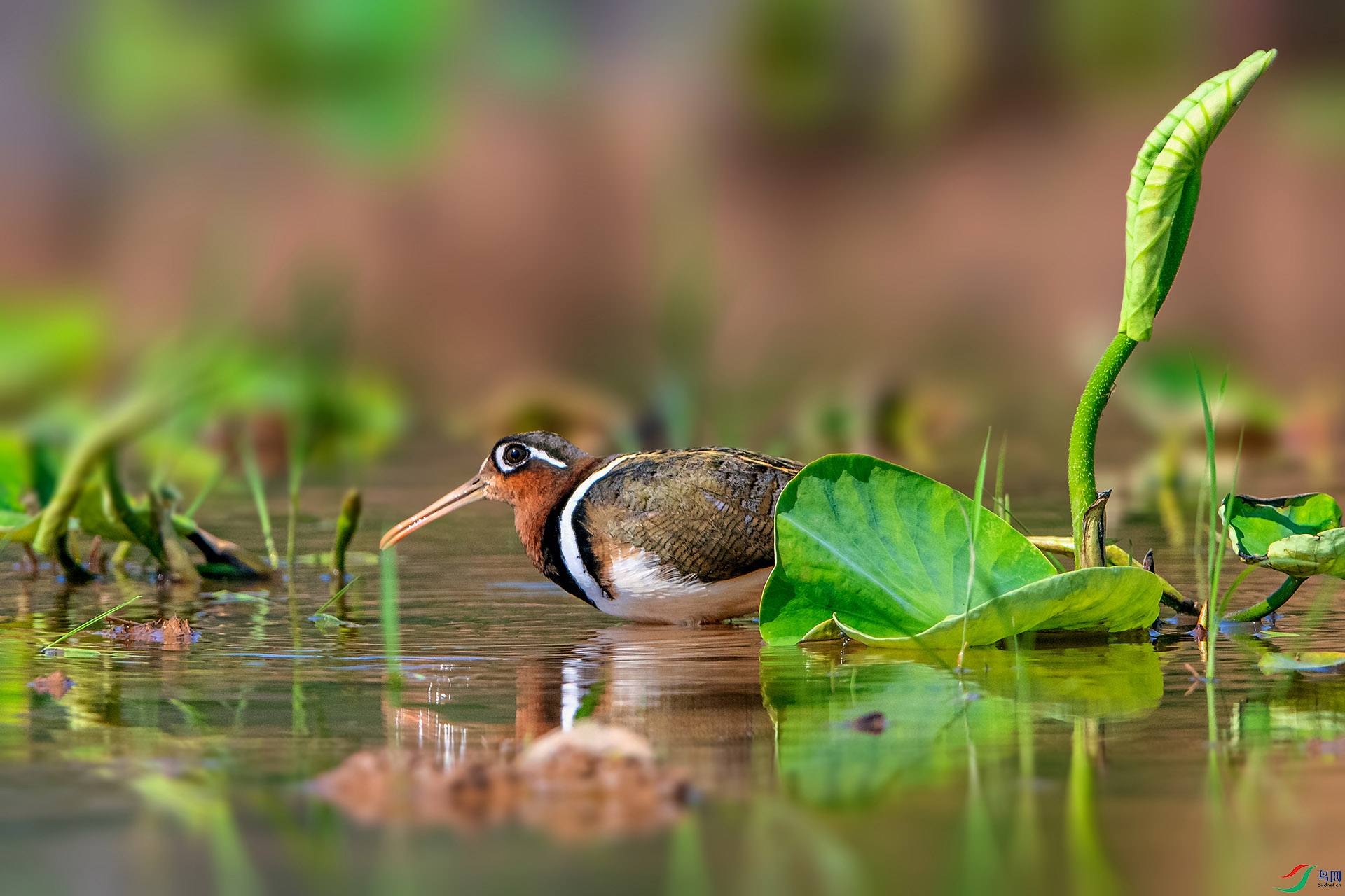 _AUU2222����(24.5.4).jpg