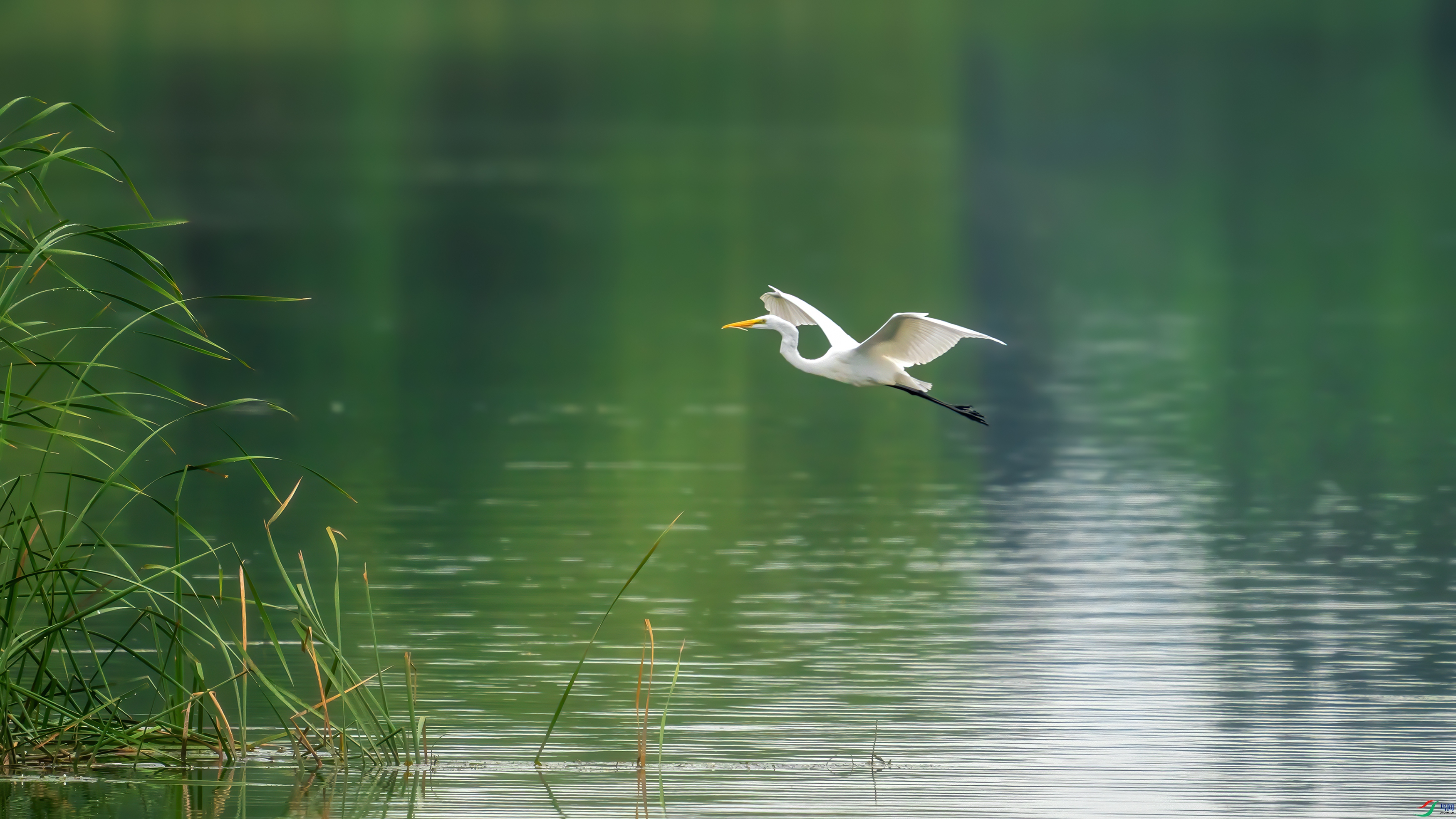 DSC07243 ����.jpg